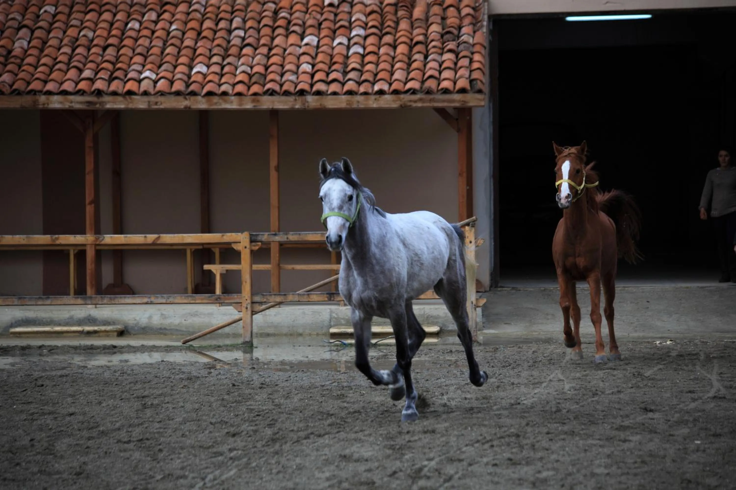 Horse-riding in Iksir Resort Town