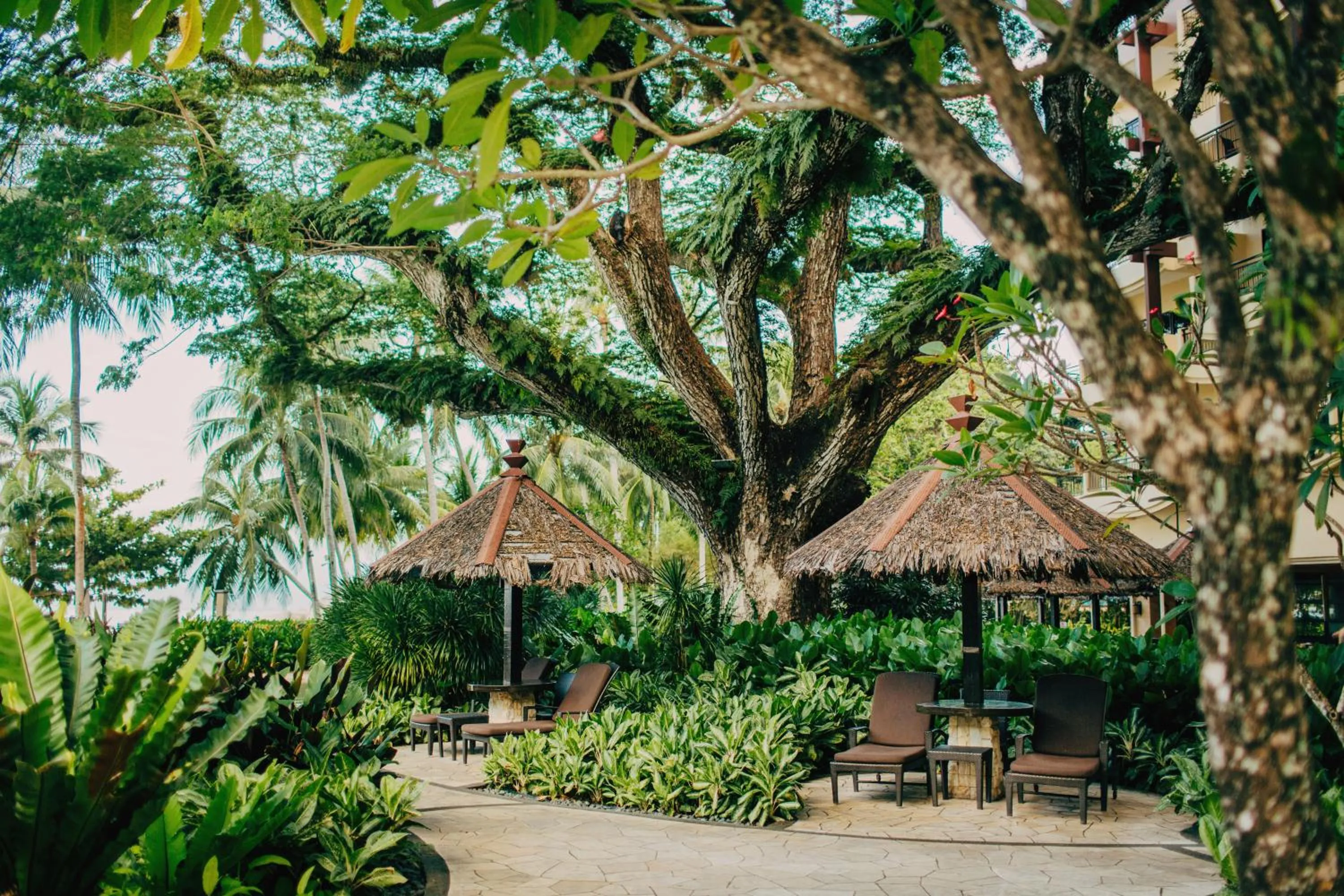 Garden in Shangri-La Rasa Sayang, Penang