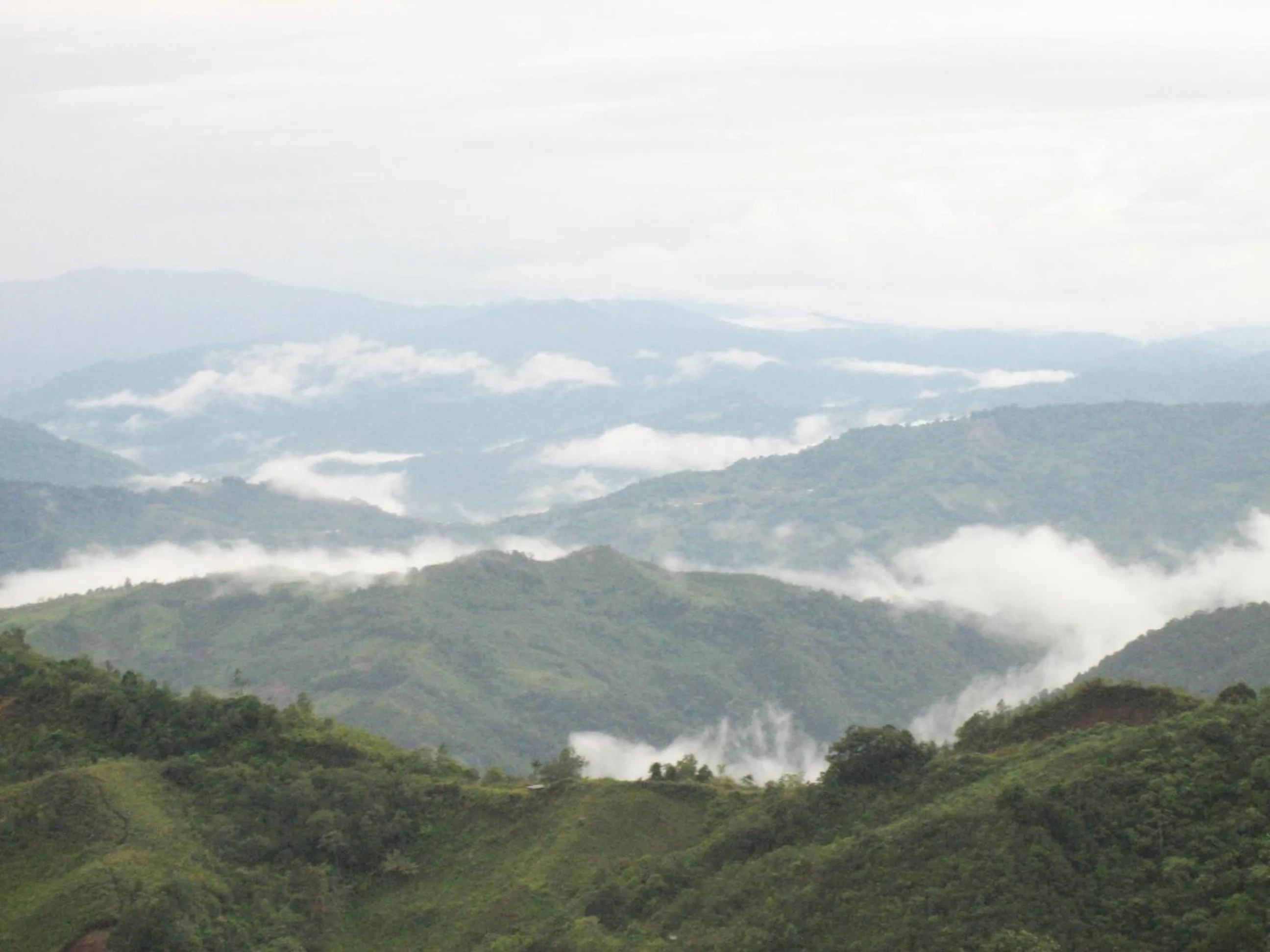 Mountain view in Celyn Resort Kinabalu