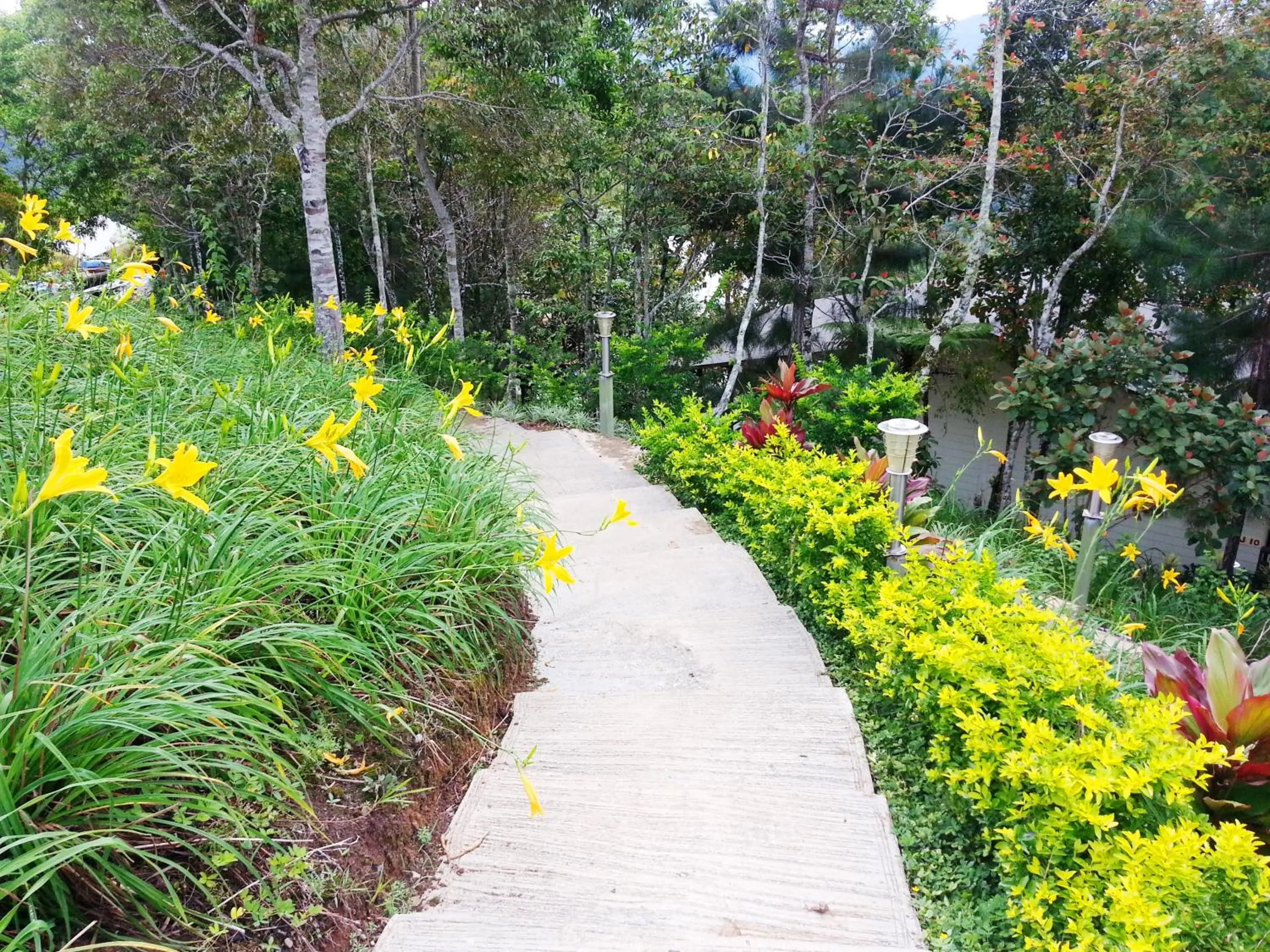 Other in Celyn Resort Kinabalu