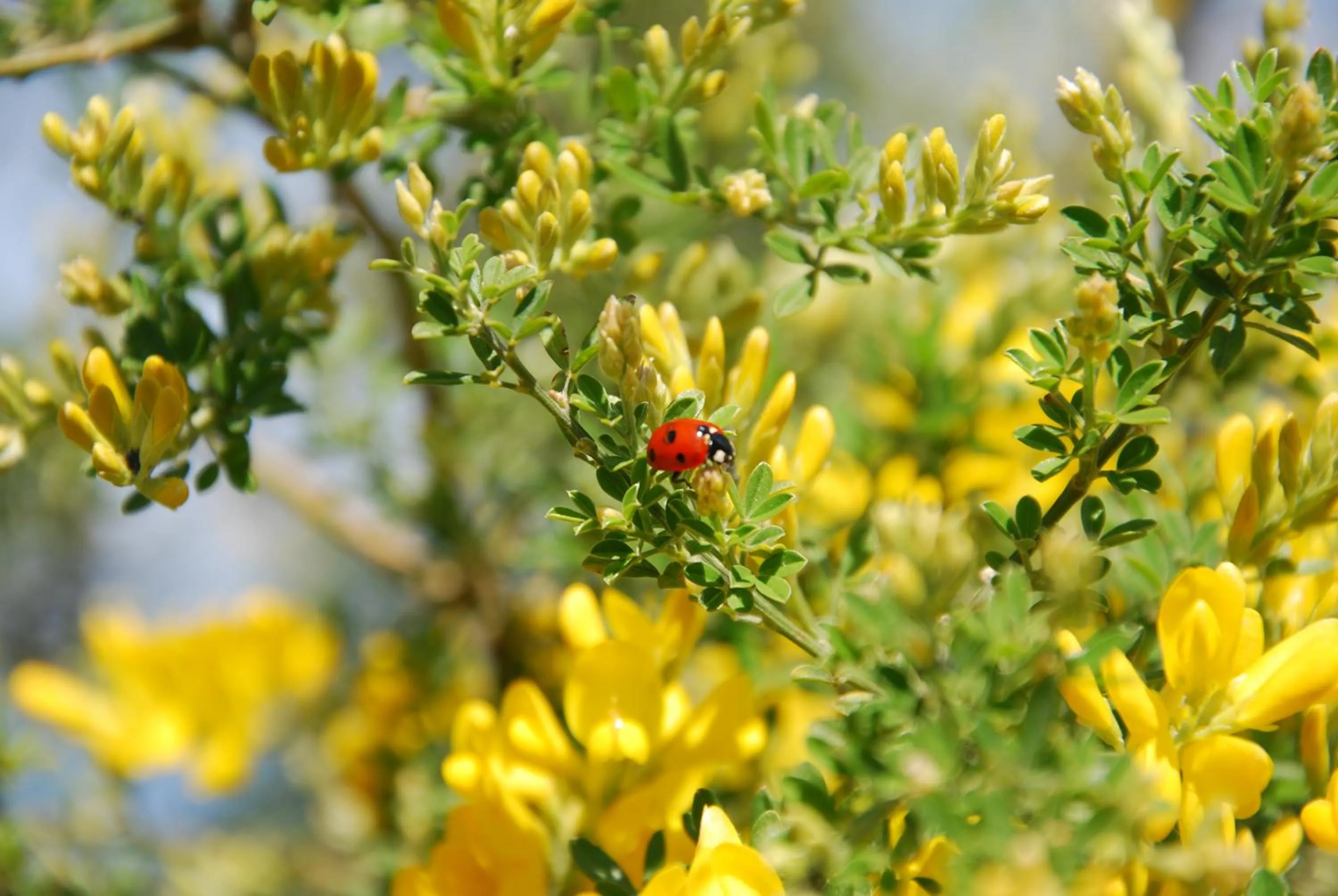 View (from property/room) in Giardino 21 Marzo