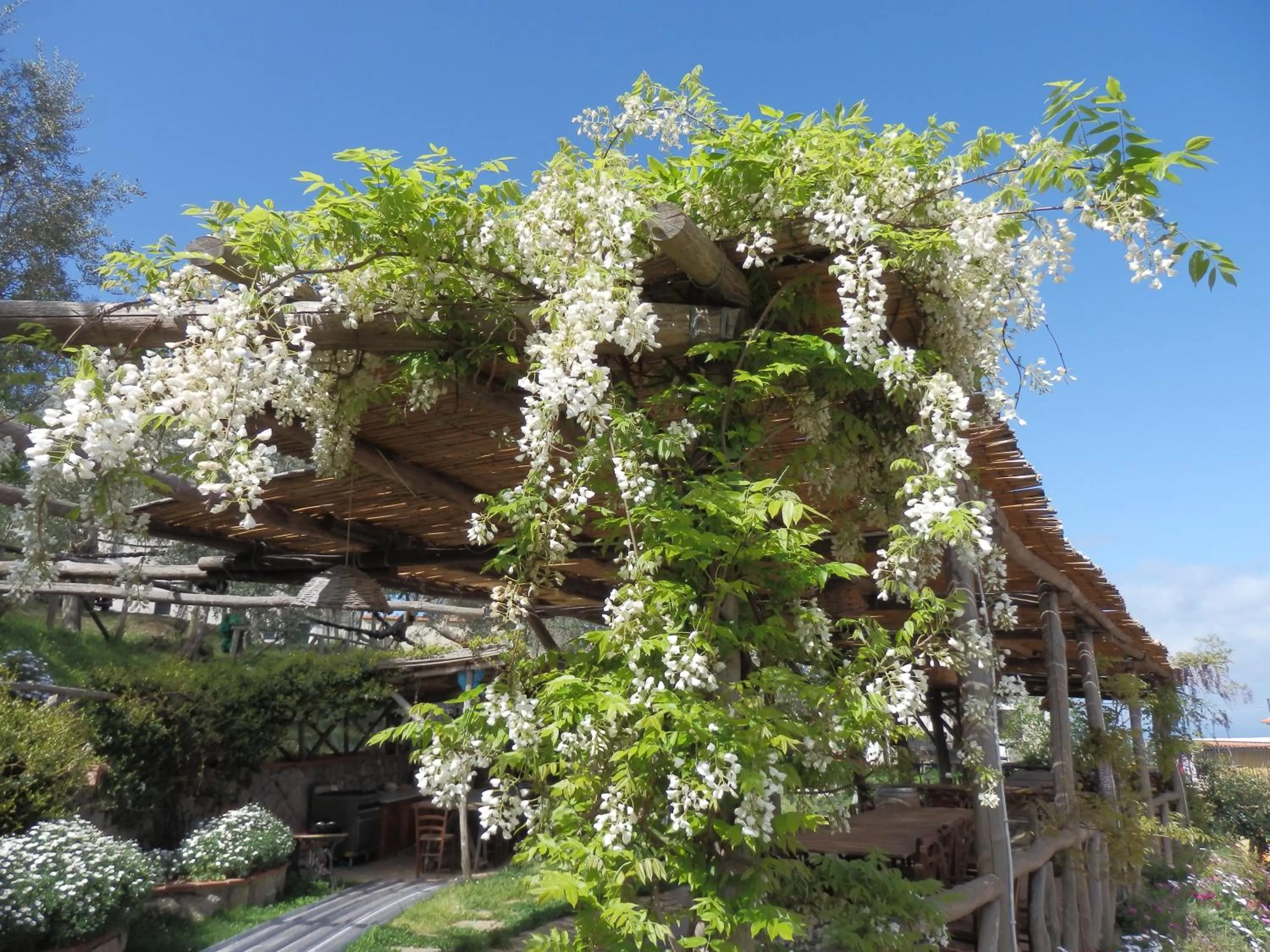 Garden in Giardino 21 Marzo