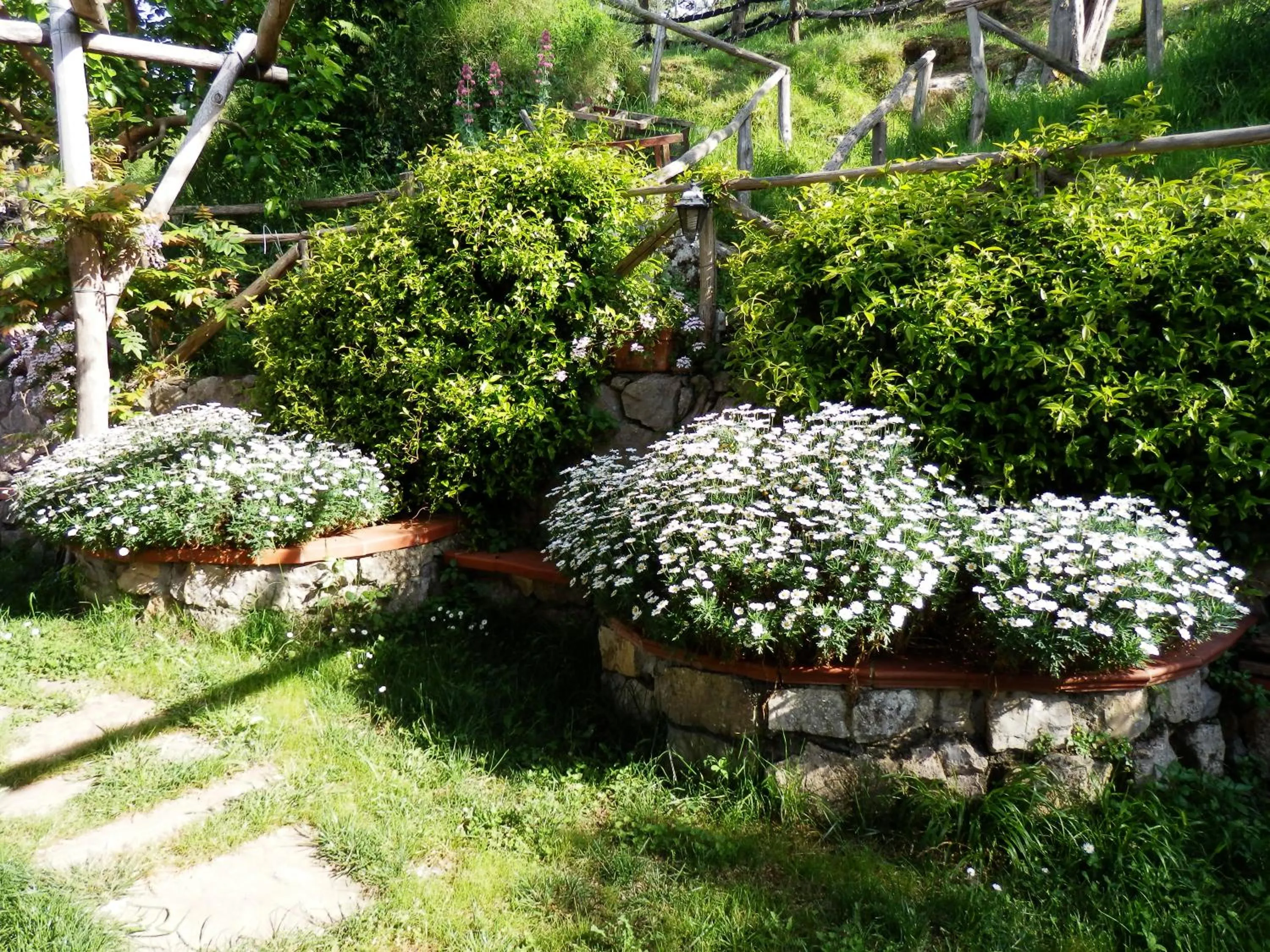 Garden in Giardino 21 Marzo