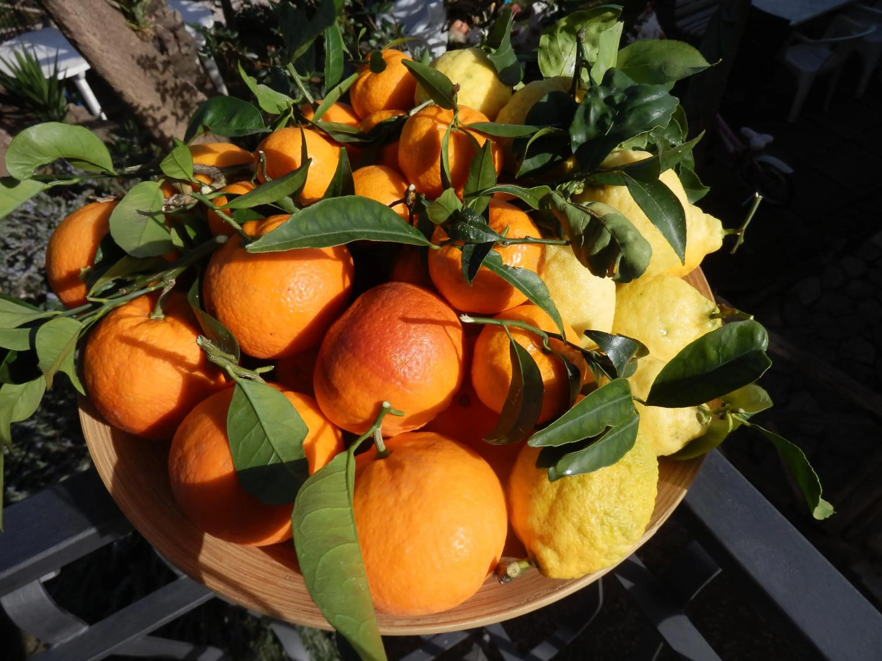 Food and drinks in Giardino 21 Marzo