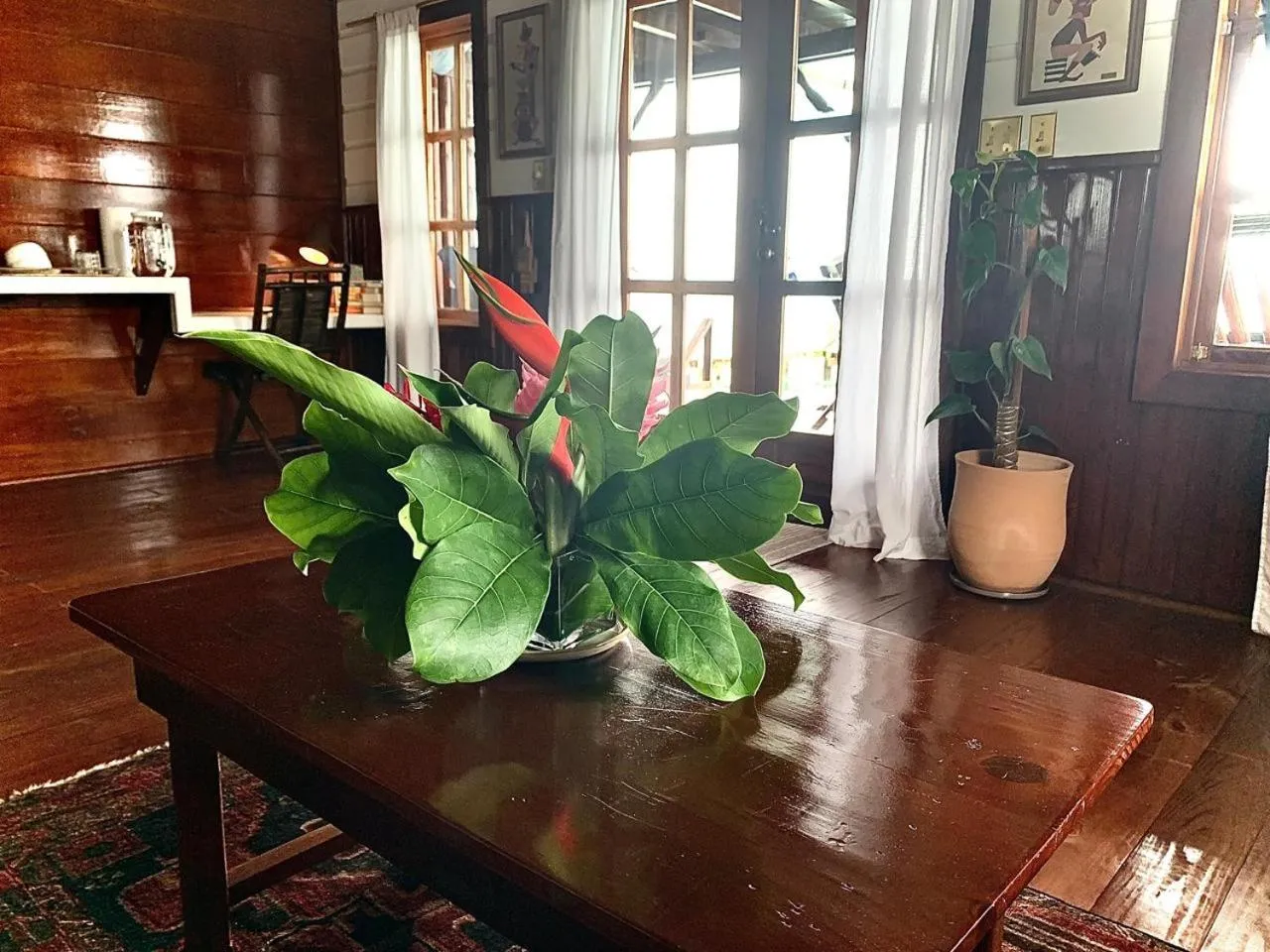 Casa Acuario Boutique Hotel