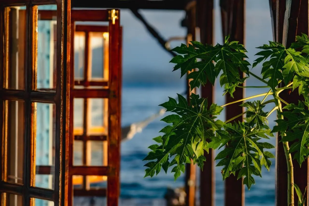 View (from property/room) in Casa Acuario Boutique Hotel