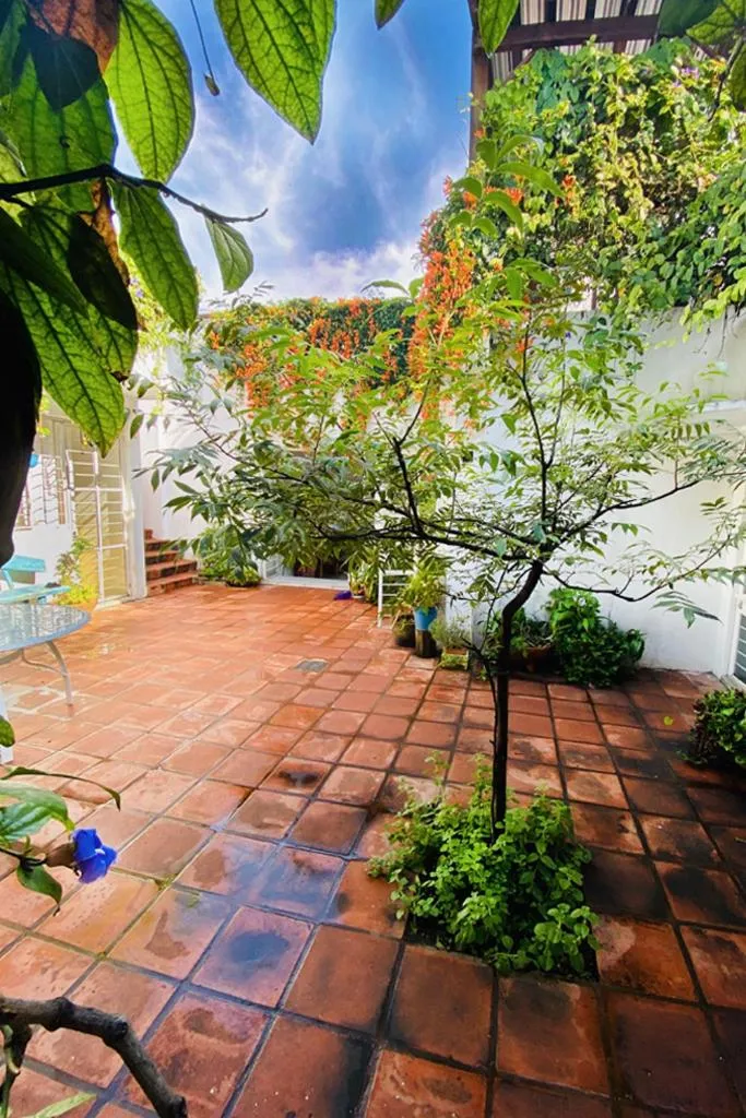 Patio in Casa Canario Hostel