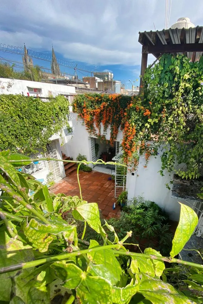 View (from property/room) in Casa Canario Hostel