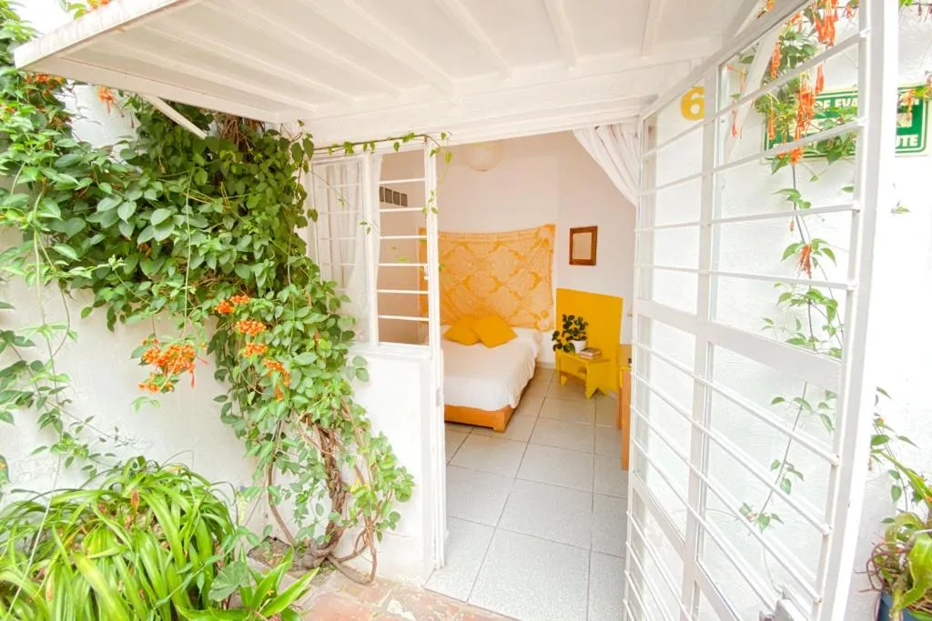 Casa Canario Hostel