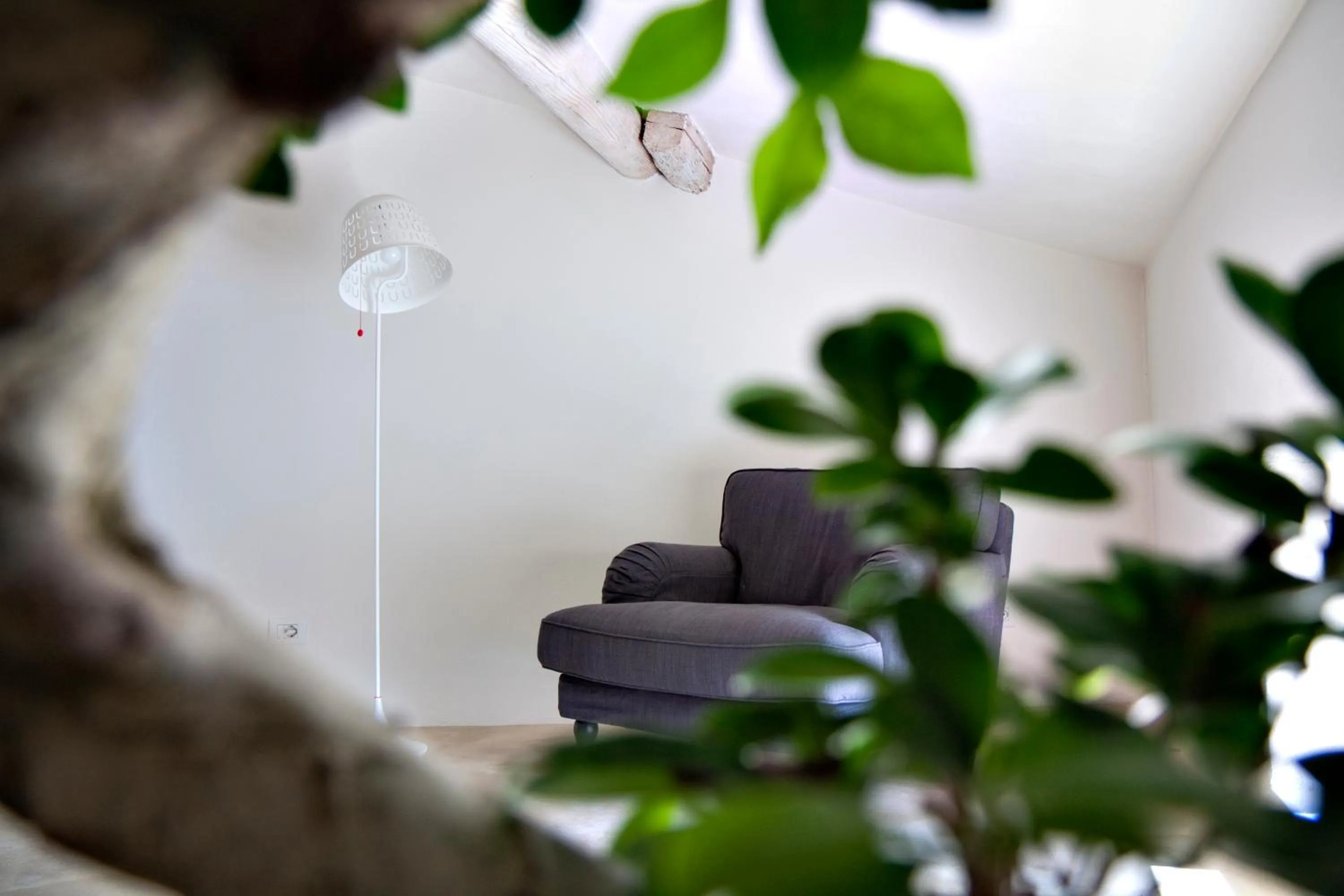 Living room in Porto Sole Rooms