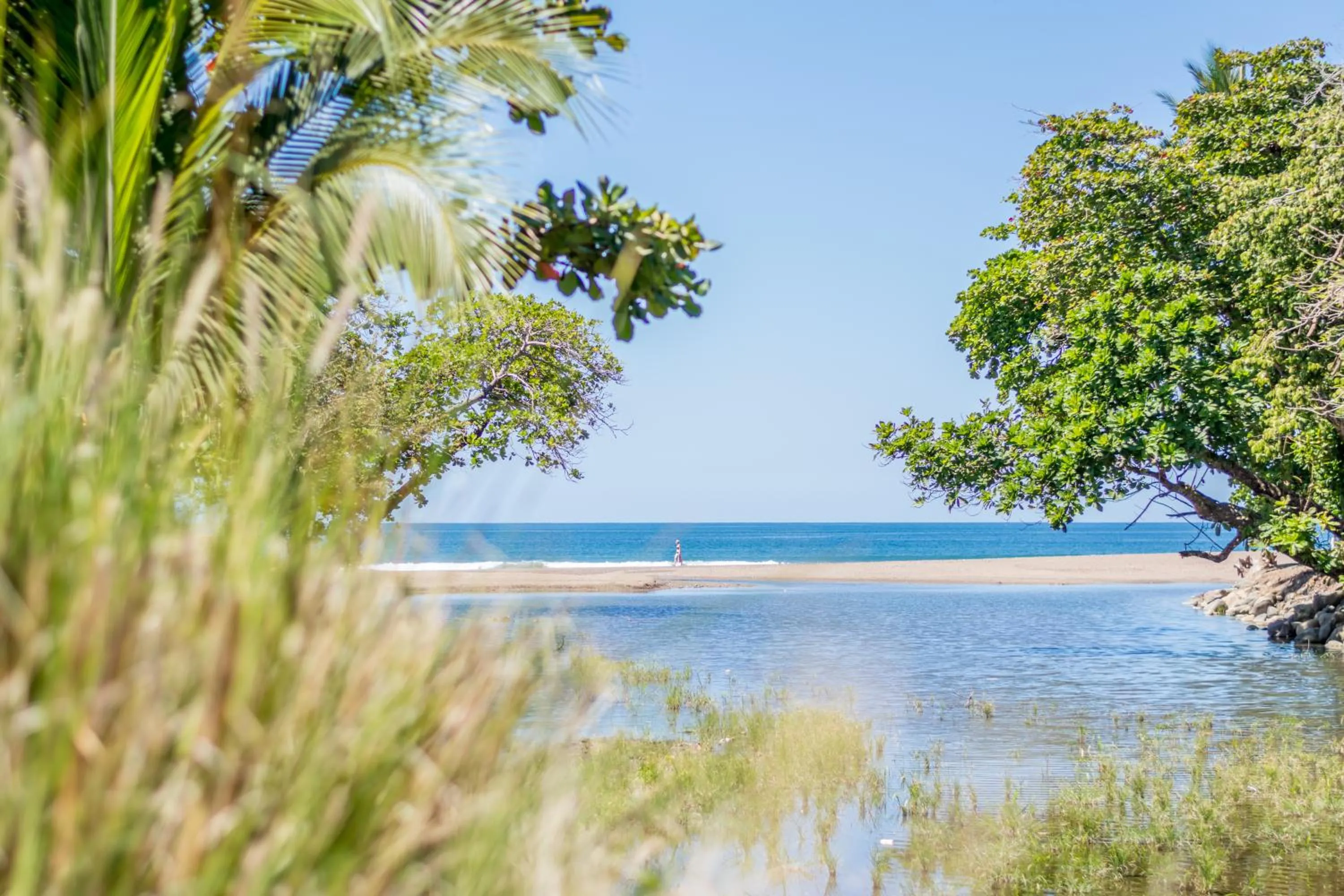 Day in CLUB IBIZA - Party Hotel & Beach Club