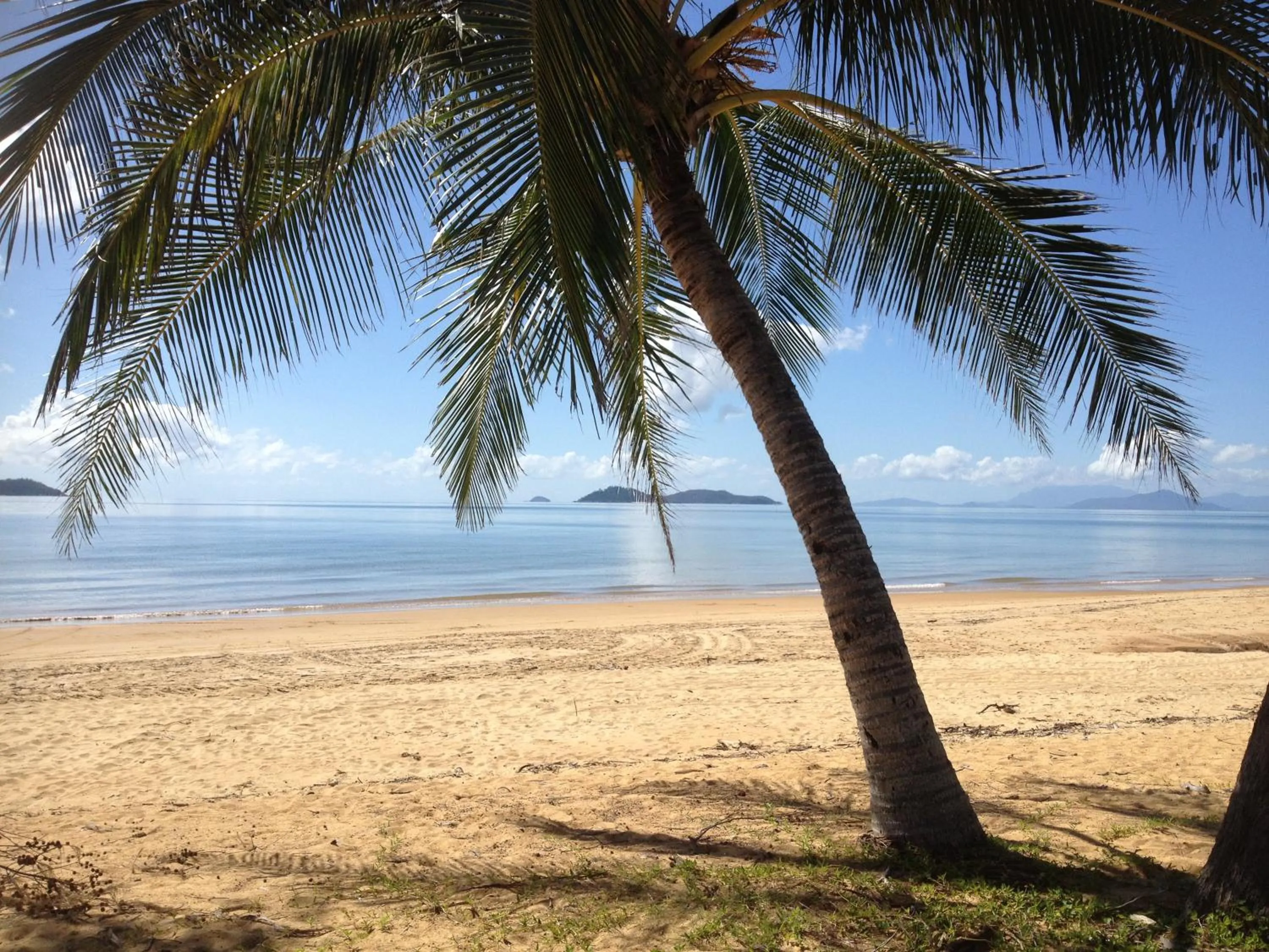 Facade/entrance in BIG4 Tasman Holiday Parks - South Mission Beach