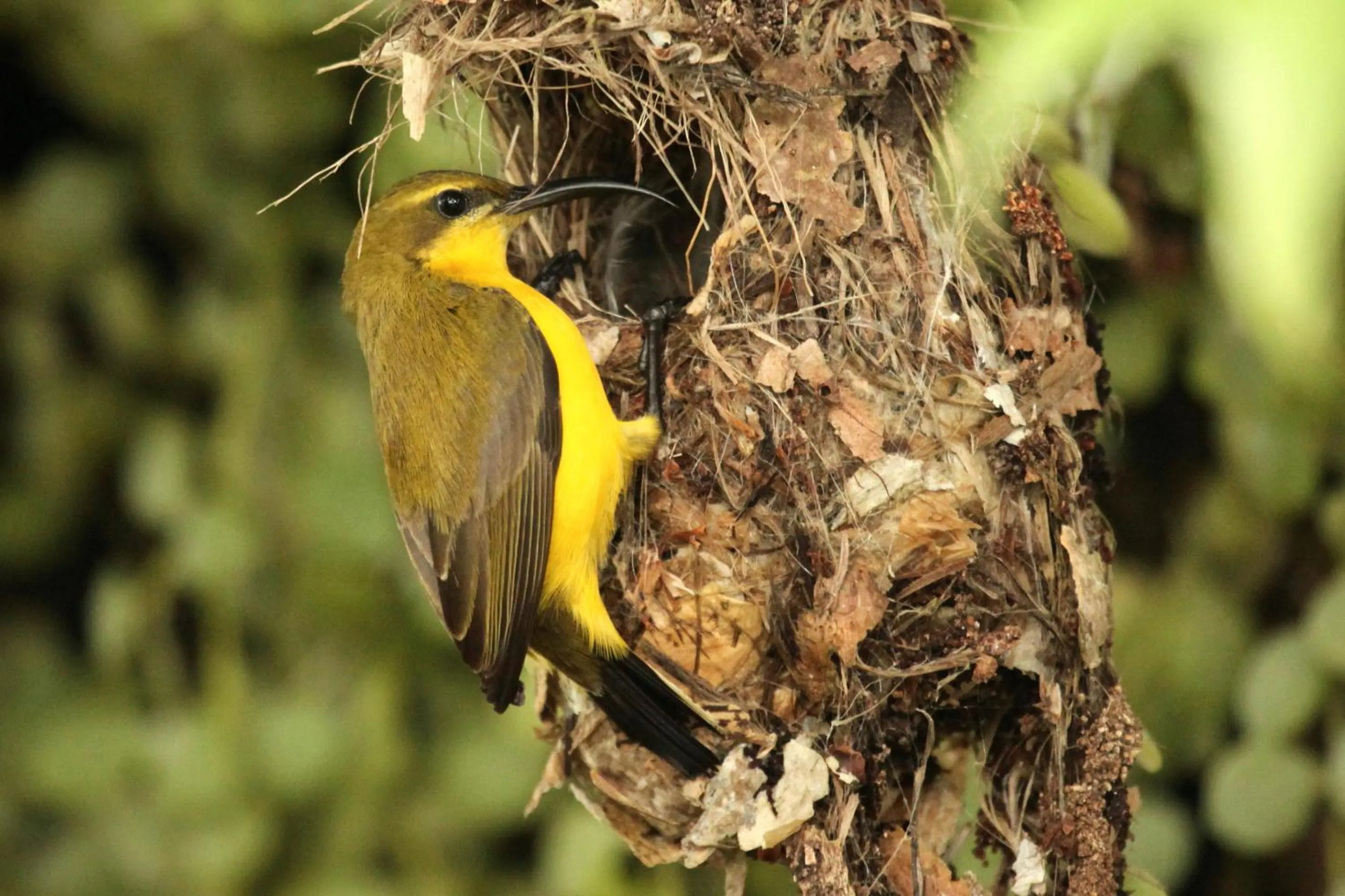 Table tennis in BIG4 Tasman Holiday Parks - South Mission Beach