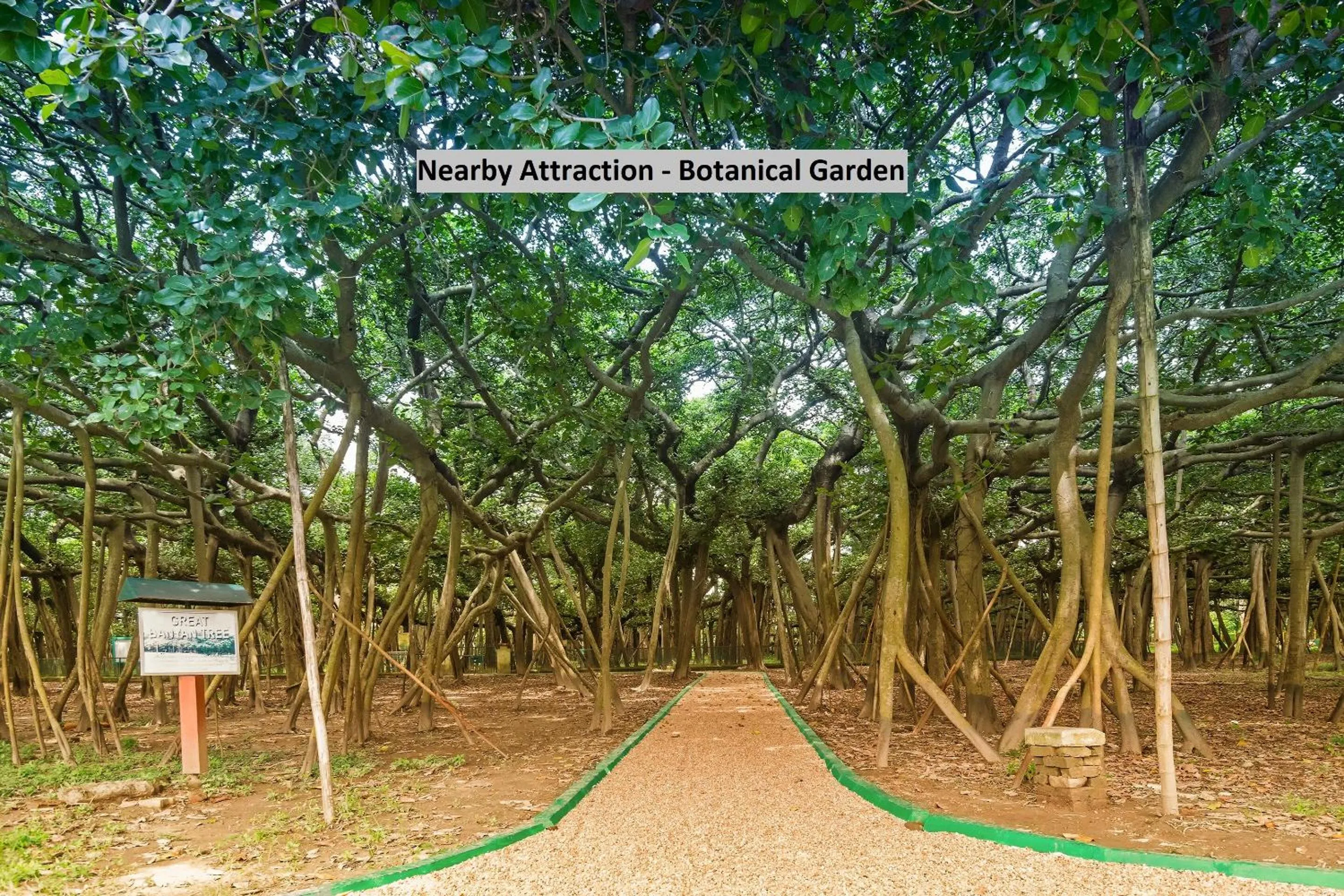 Other in Super Hotel O Ssr Luxury Rooms