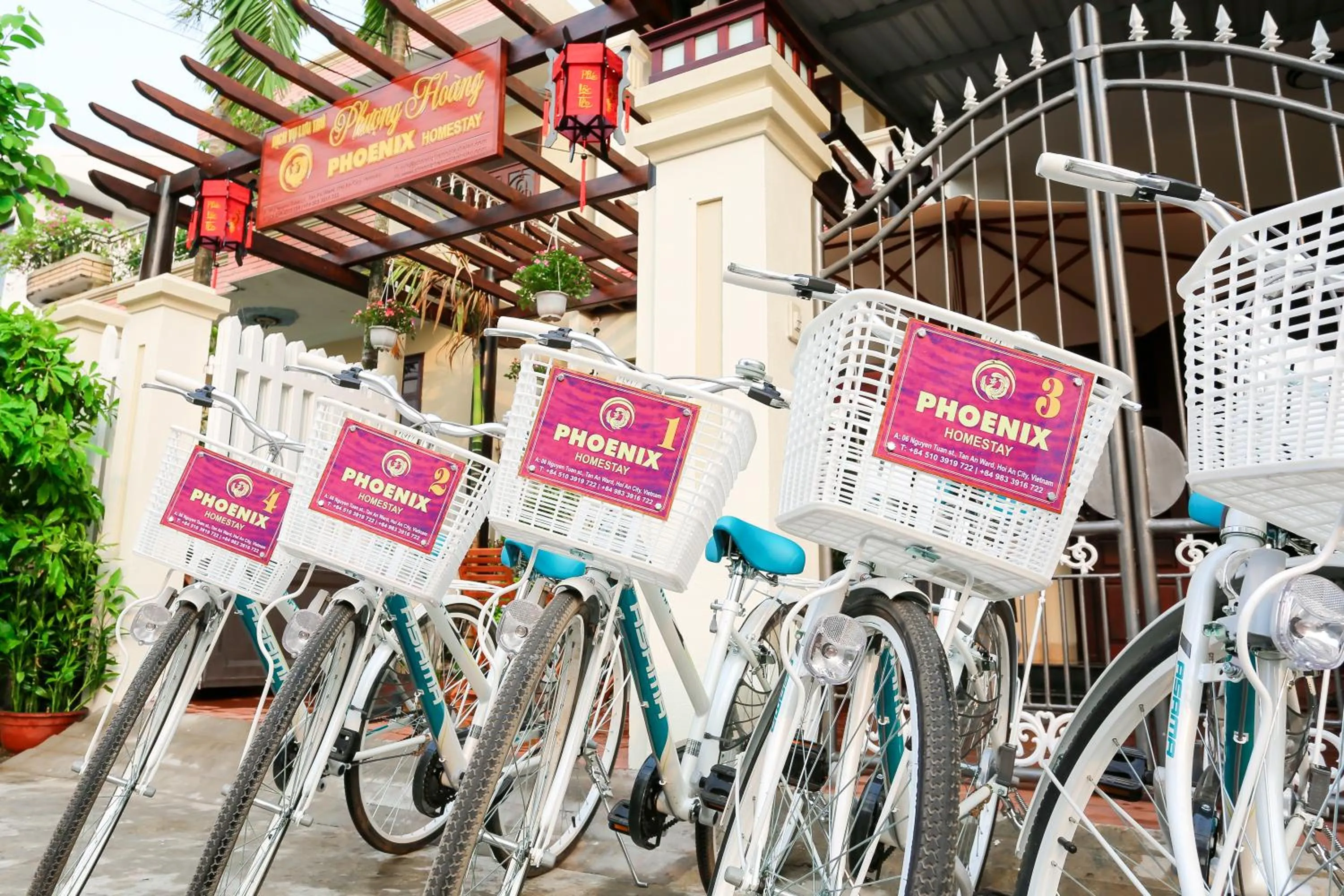 Cycling in Phoenix Homestay