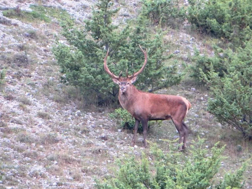 Nearby landmark in FILIPPONE HOTEL&RISTORANTE