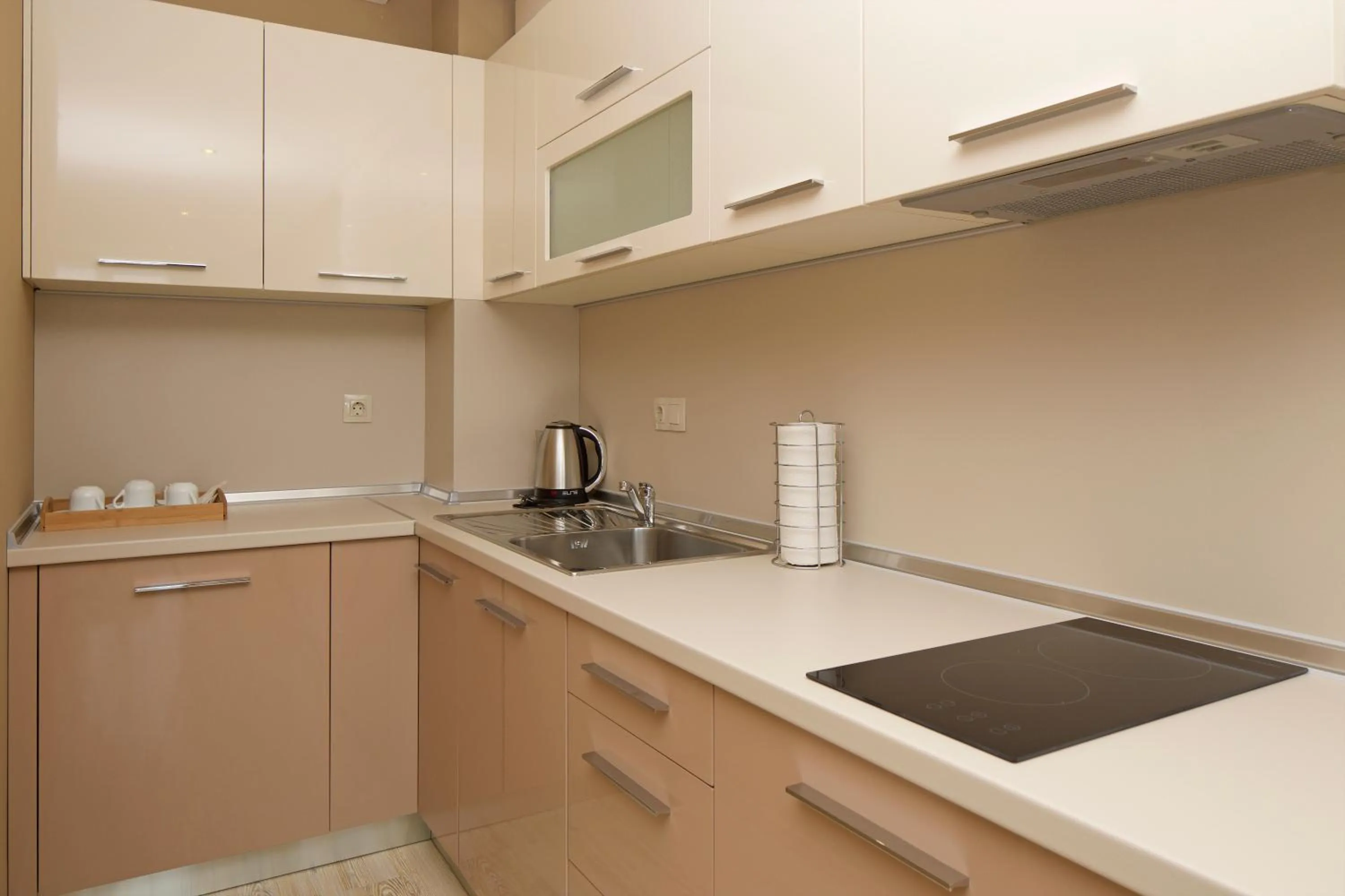 Kitchen or kitchenette in Aparthotel Paradiso