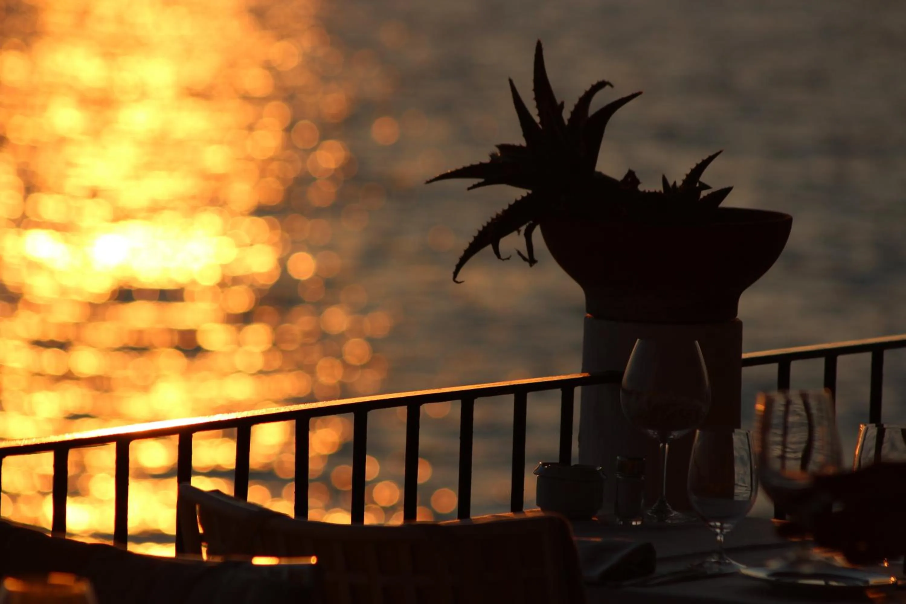 Balcony/Terrace in Hotel Umberto A Mare