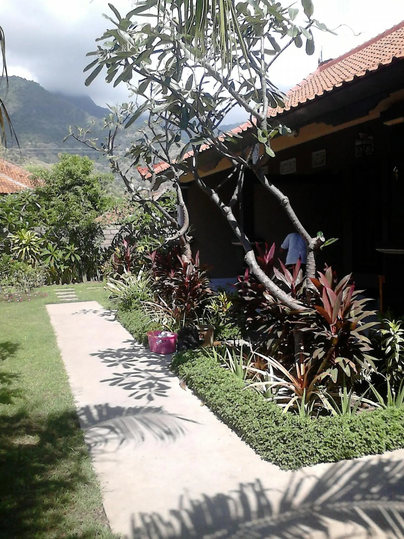 Garden in Pande Guest House