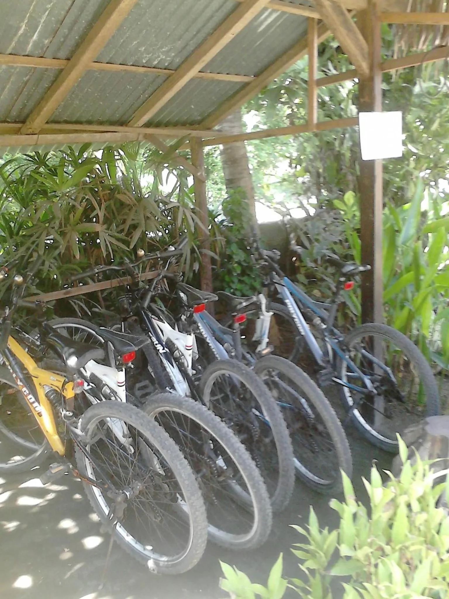 Cycling in Pande Guest House