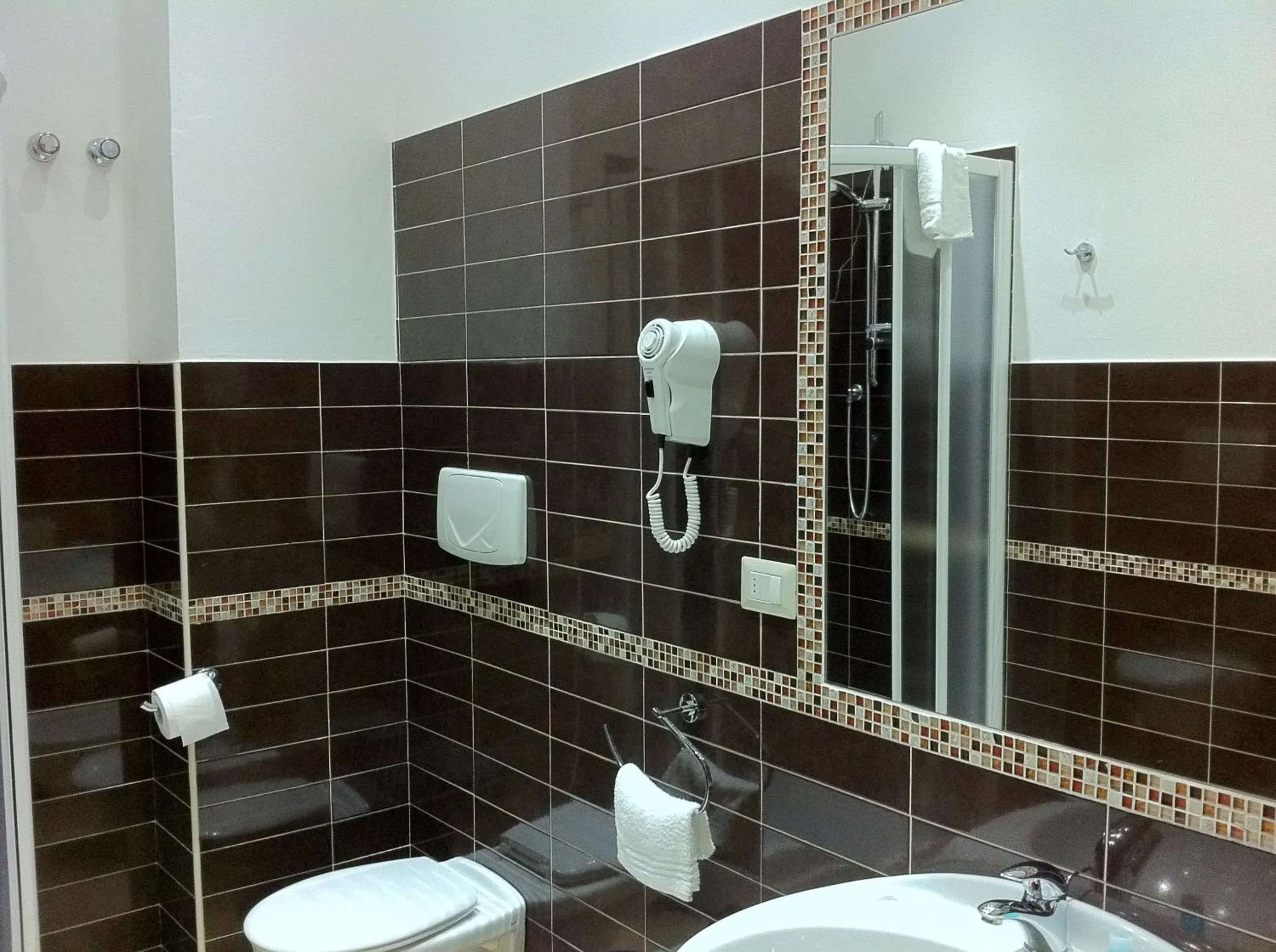 Toilet in Hotel Europa