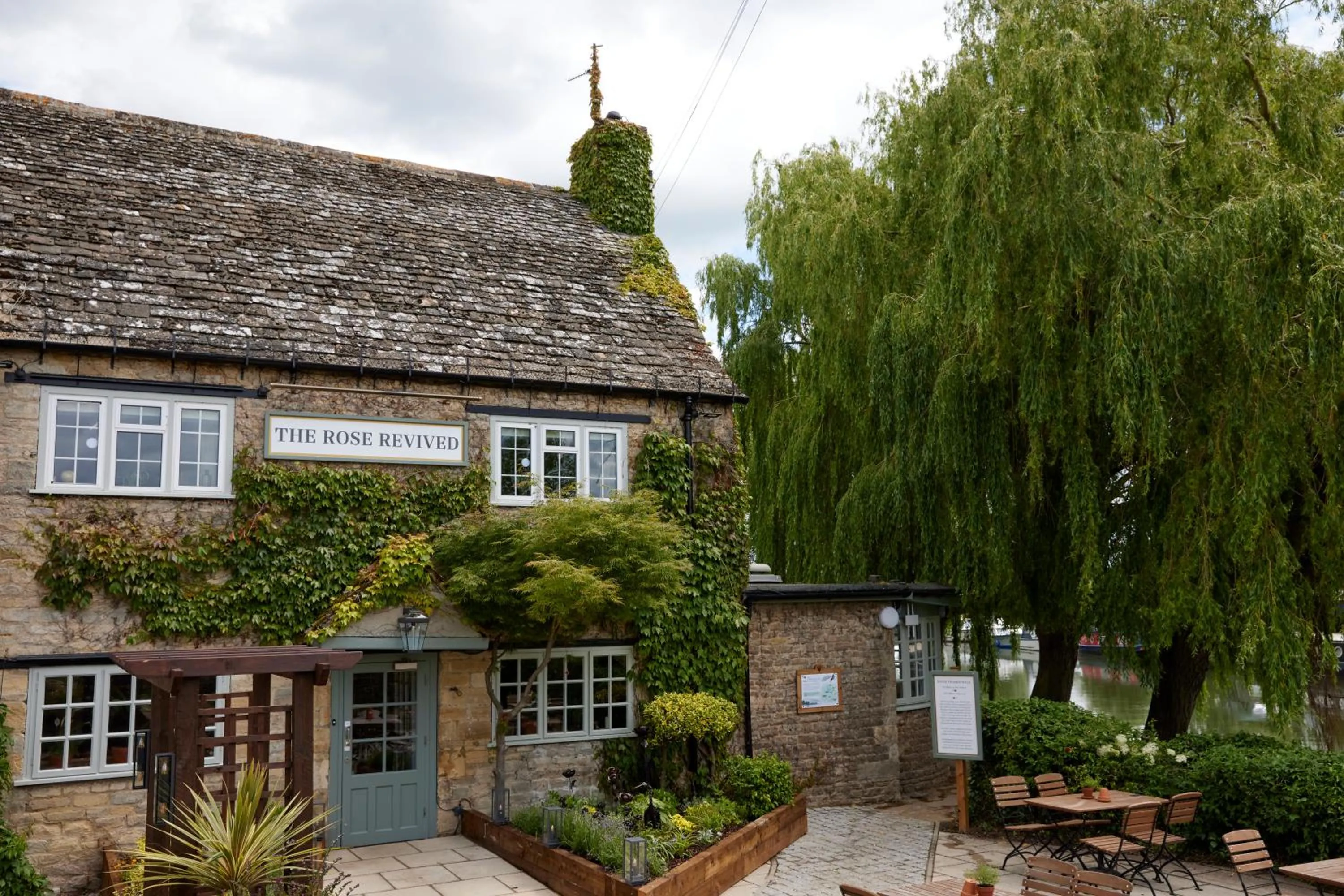 Rose Revived by Chef & Brewer Collection