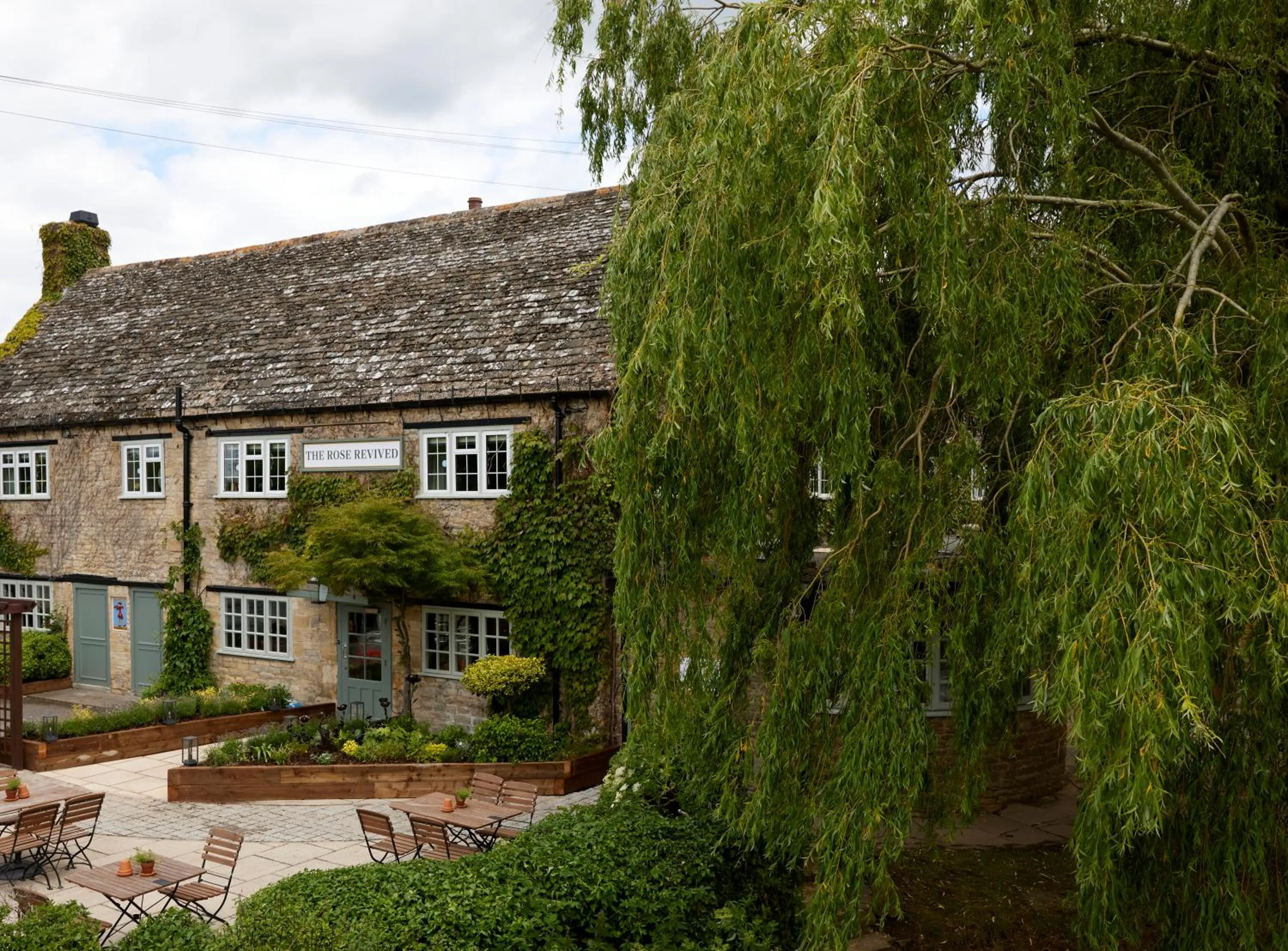 Rose Revived by Chef & Brewer Collection