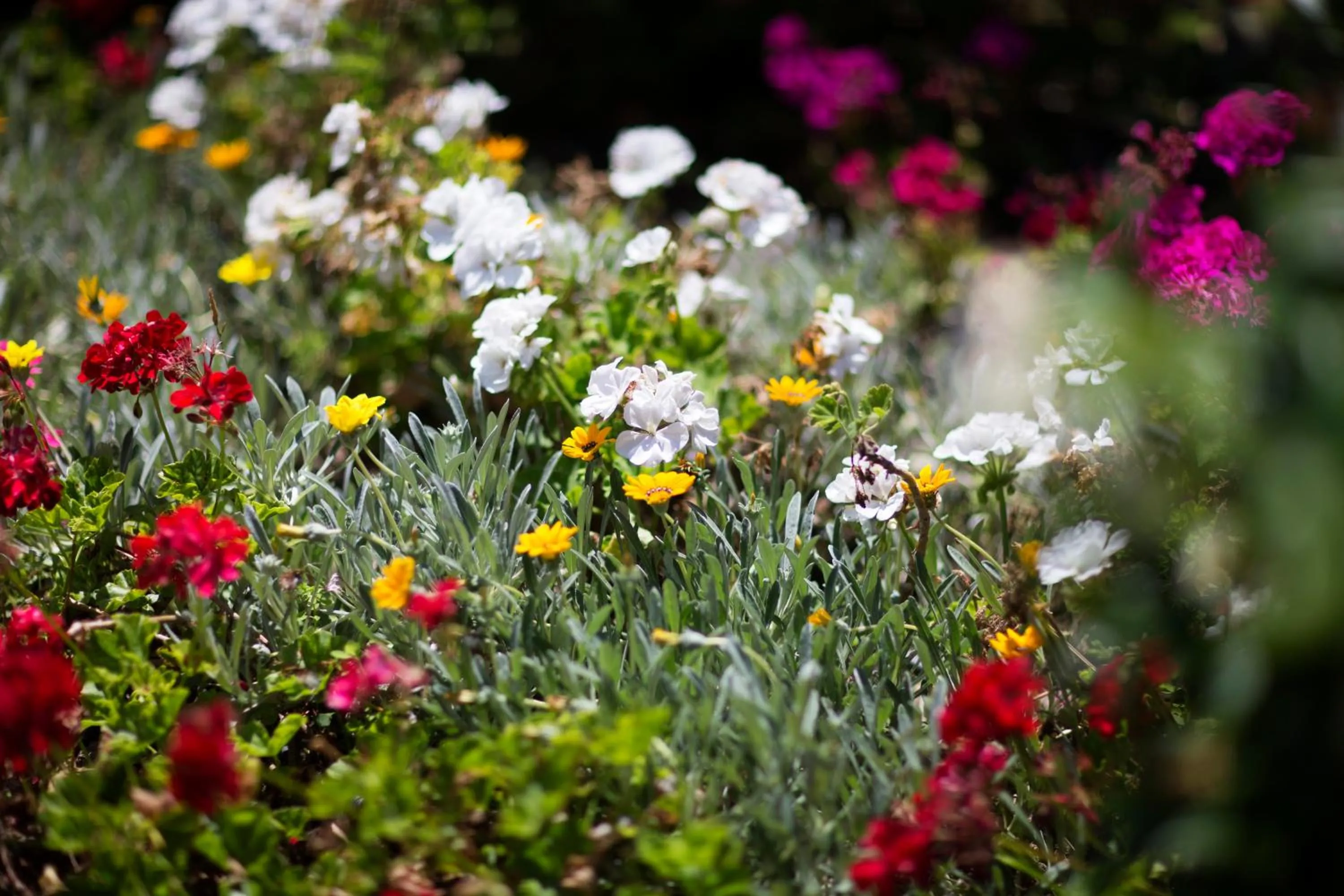 Off site in Hotel Internazionale