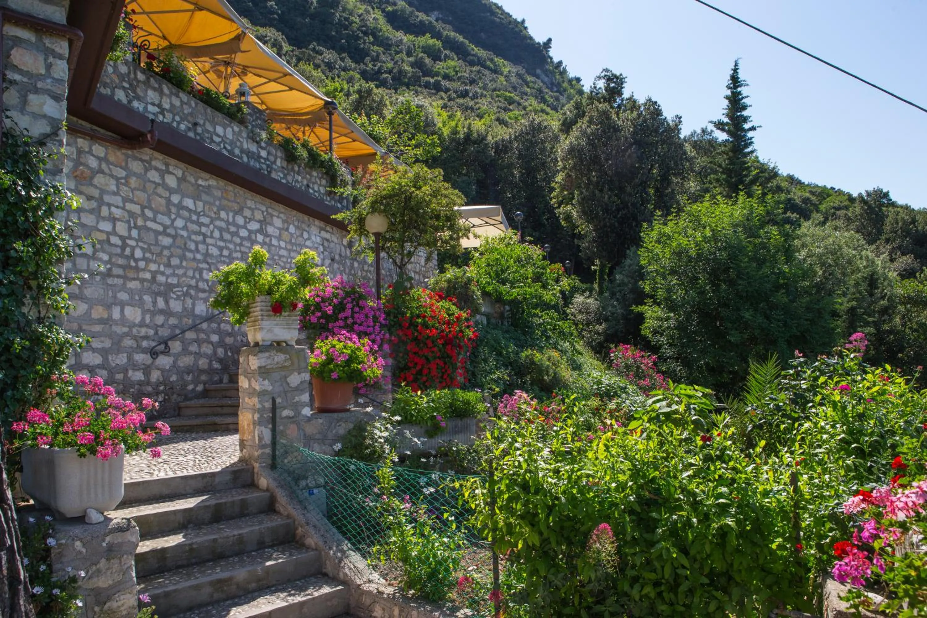 Garden in Hotel Internazionale