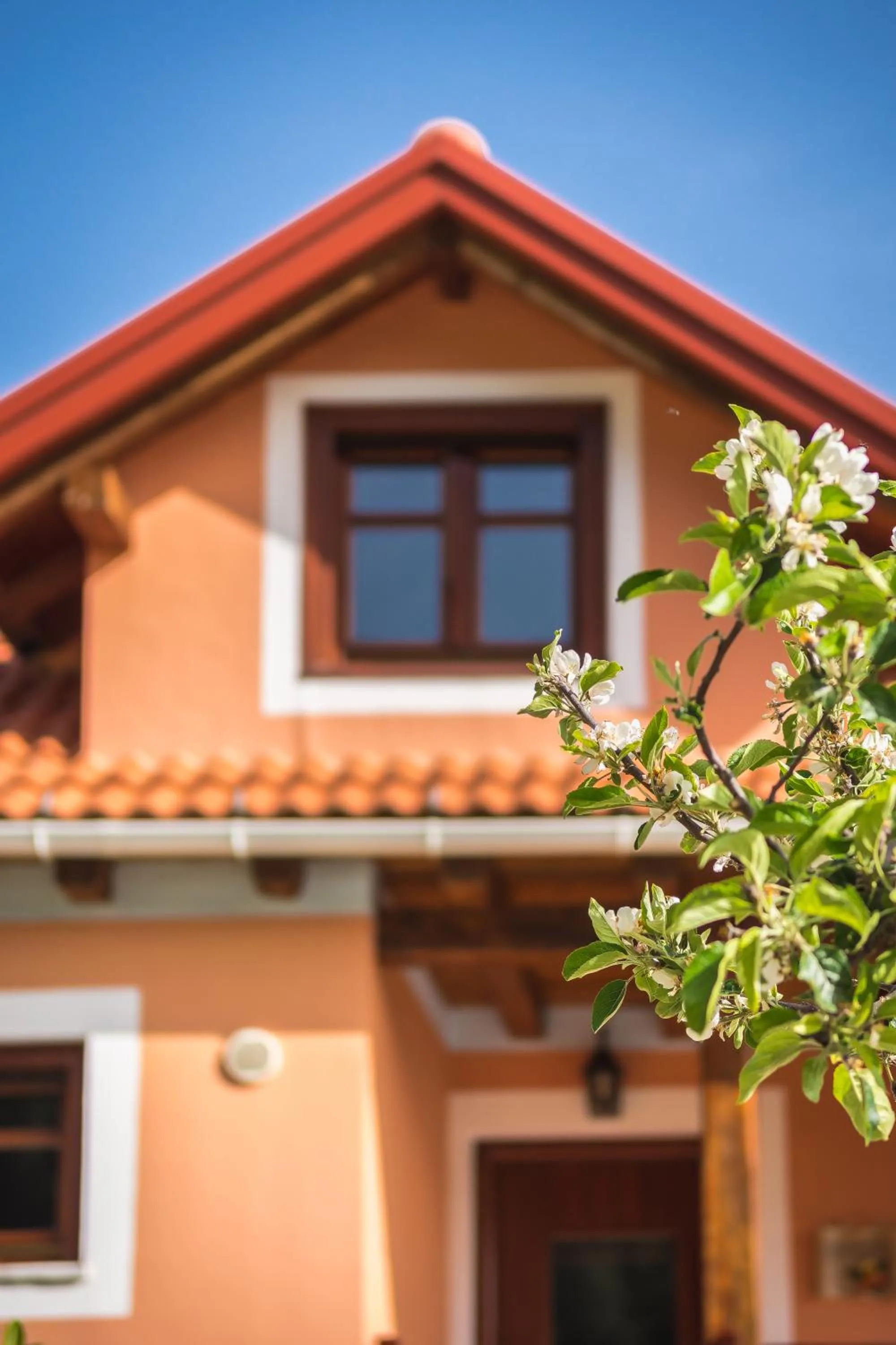 Photo of the whole room in Ilaeira Mountain Resort