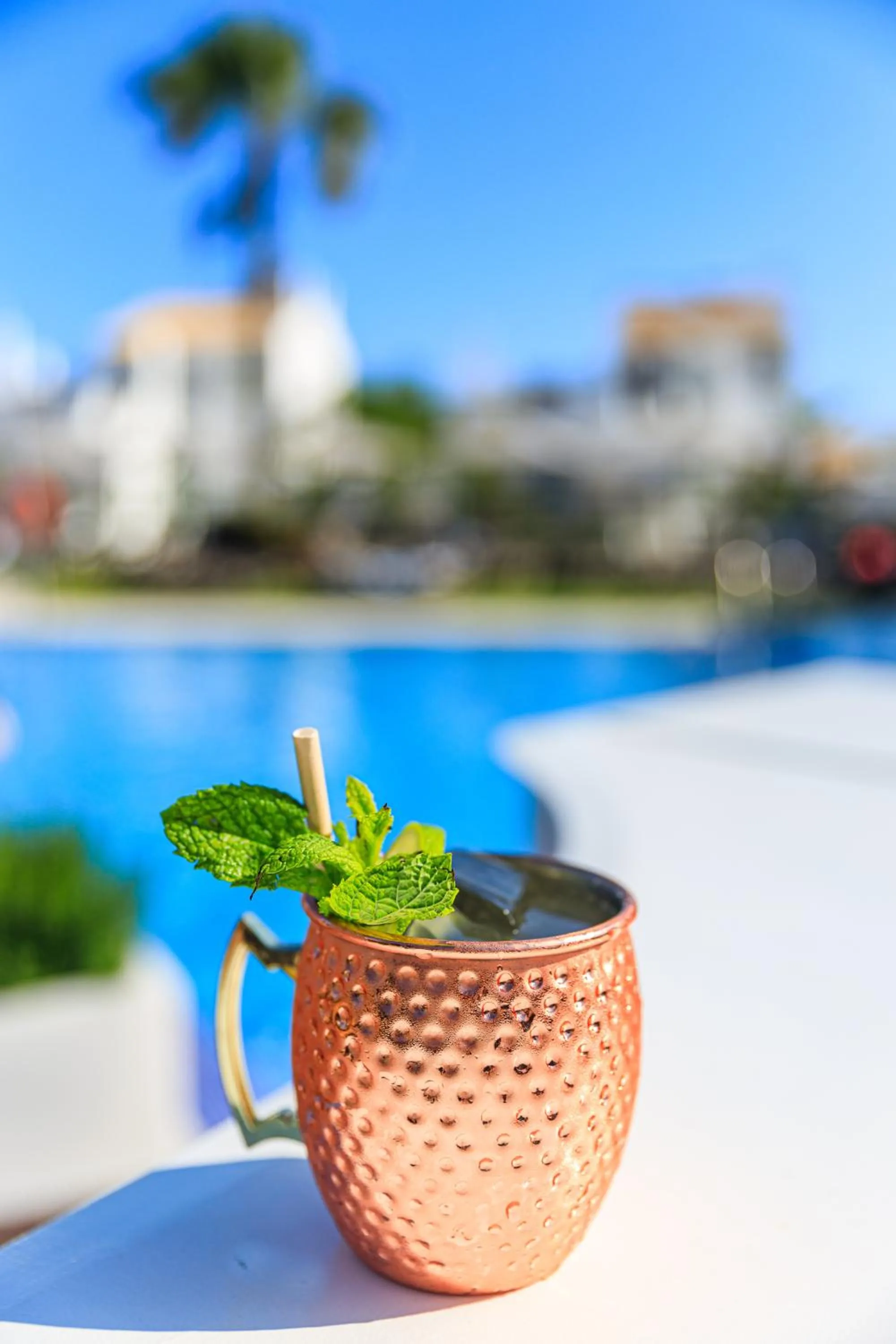 Lounge or bar in Apartamentos Honorio - Pool and Garden