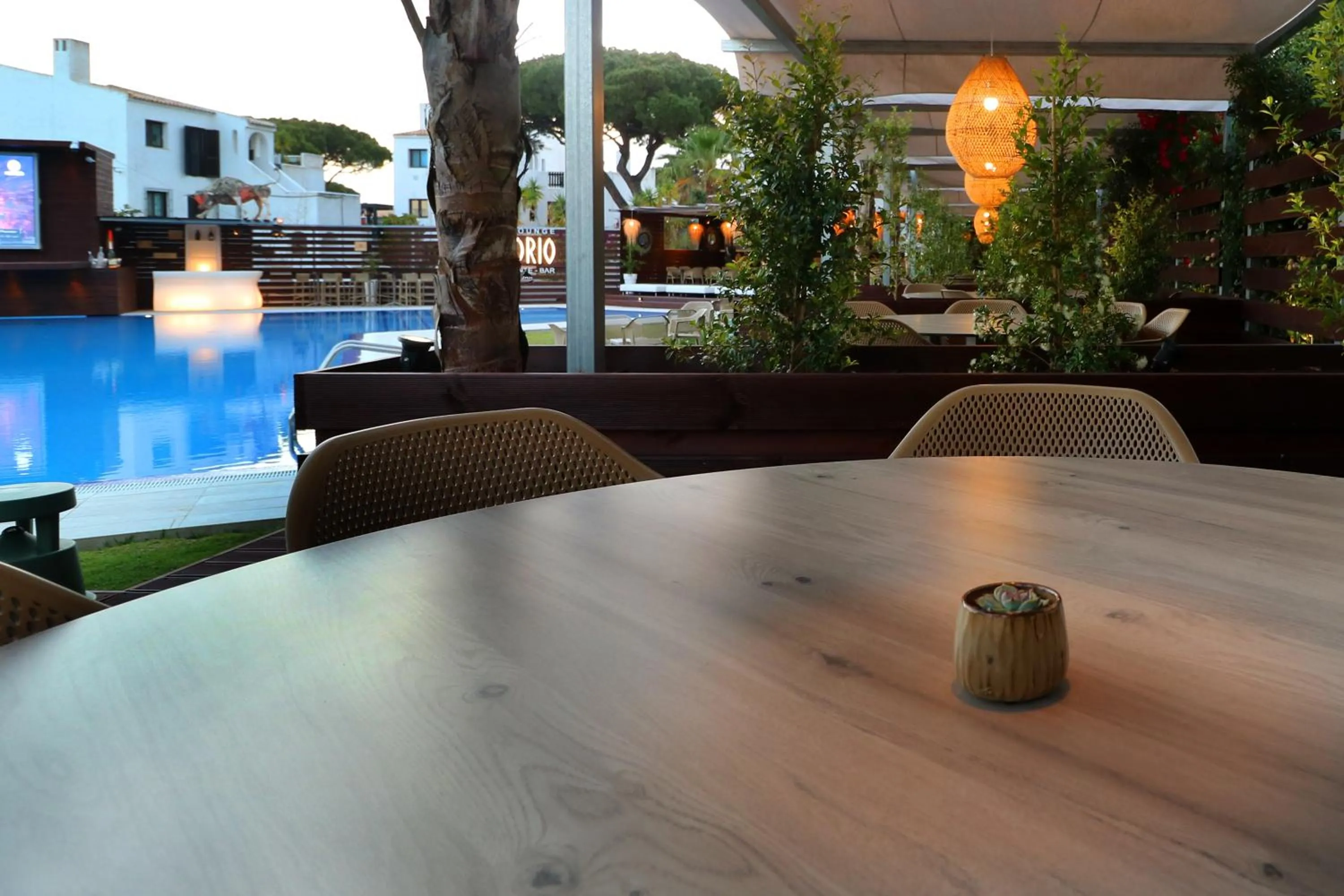 Lounge or bar in Apartamentos Honorio - Pool and Garden