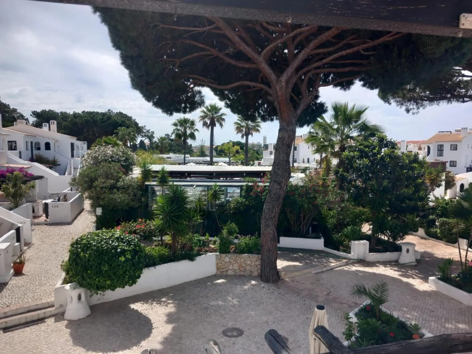 Garden view in Apartamentos Honorio - Pool and Garden