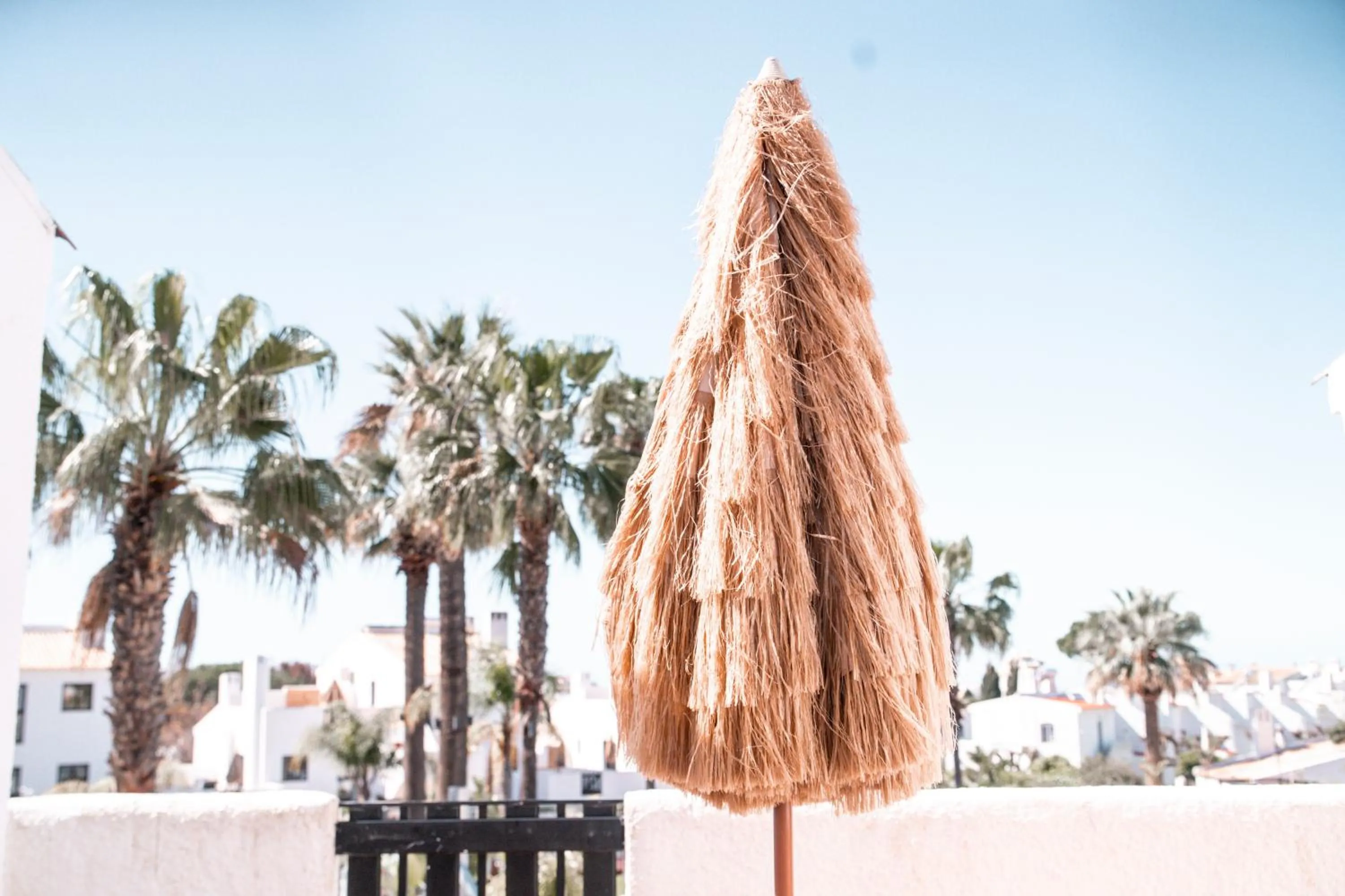 View (from property/room) in Apartamentos Honorio - Pool and Garden