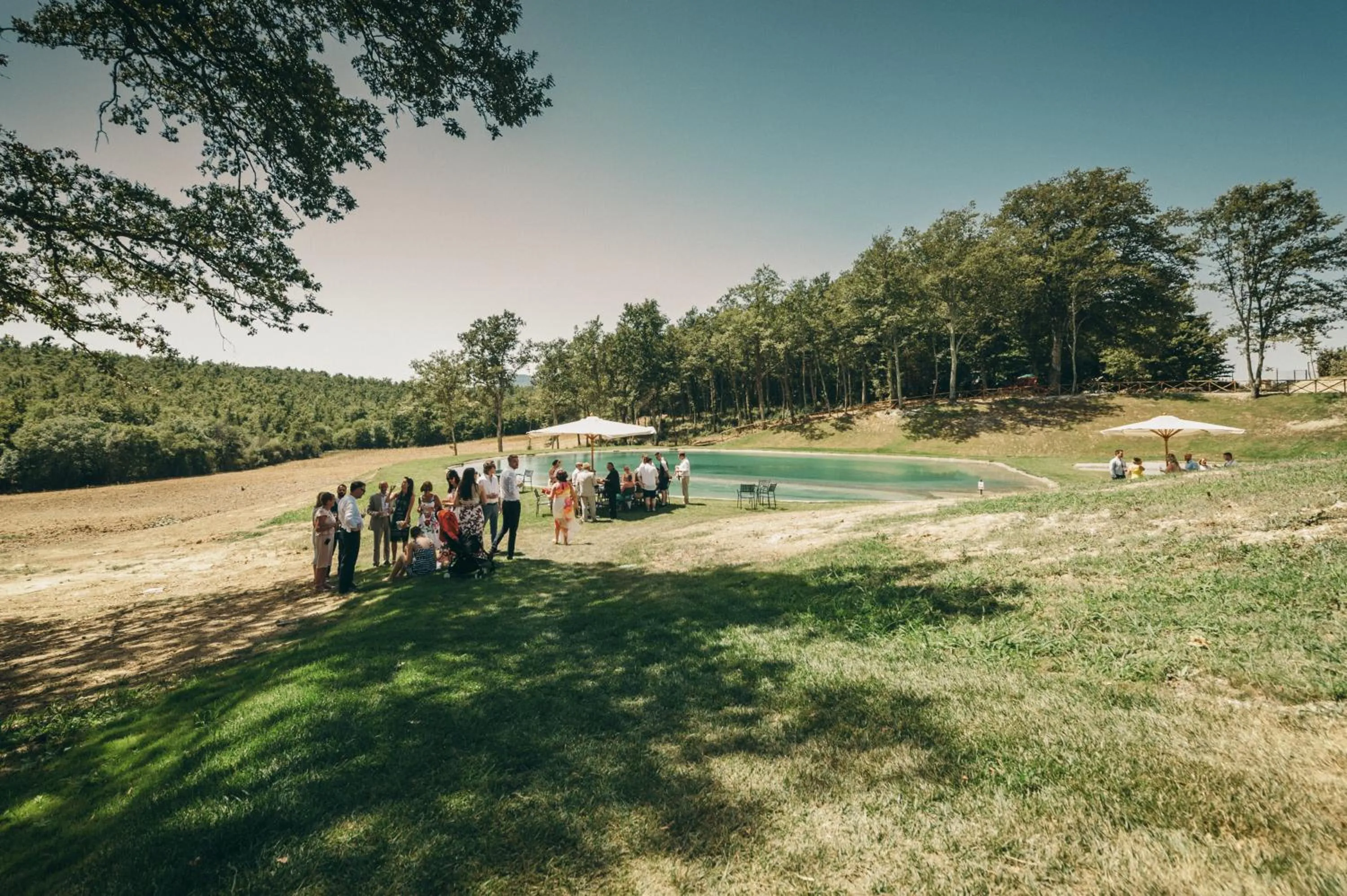 Swimming pool in Casale San Galgano