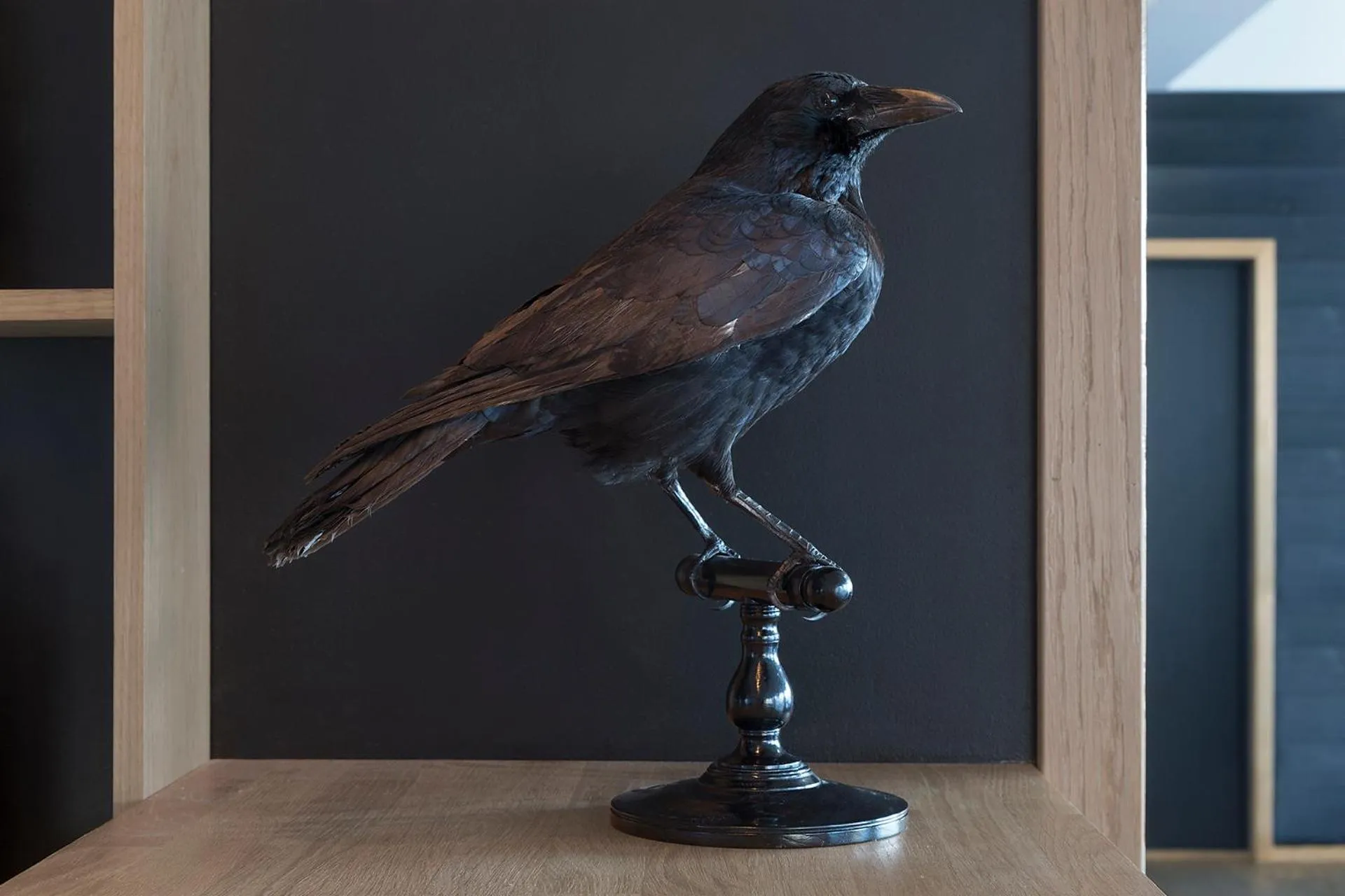 Bird's eye view in Fugl Fønix Hotel