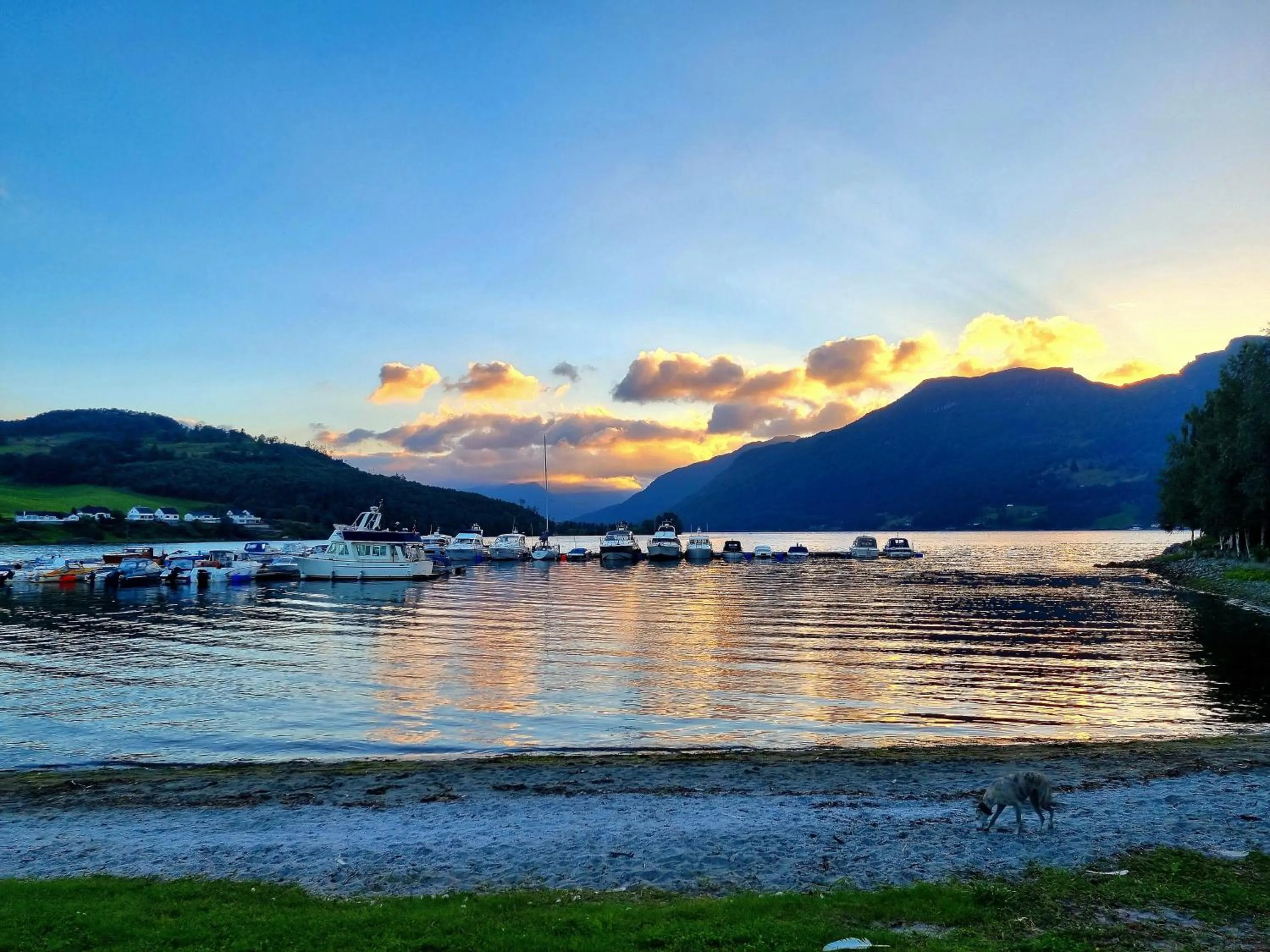 Nearby landmark in Fugl Fønix Hotel