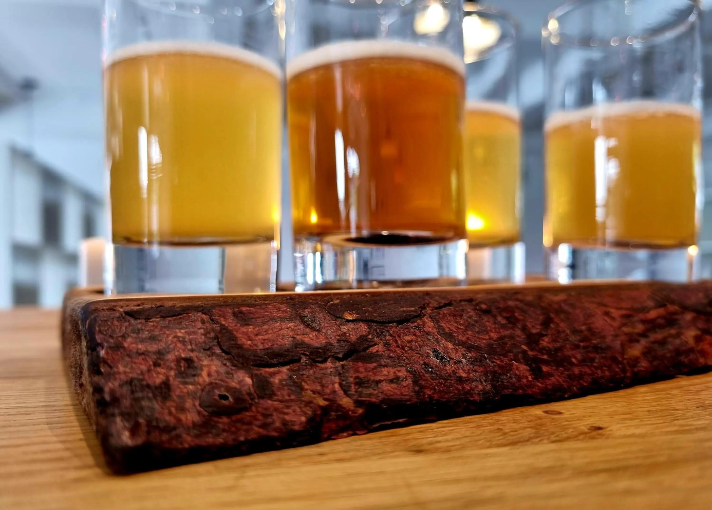 Restaurant/places to eat in Fugl Fønix Hotel