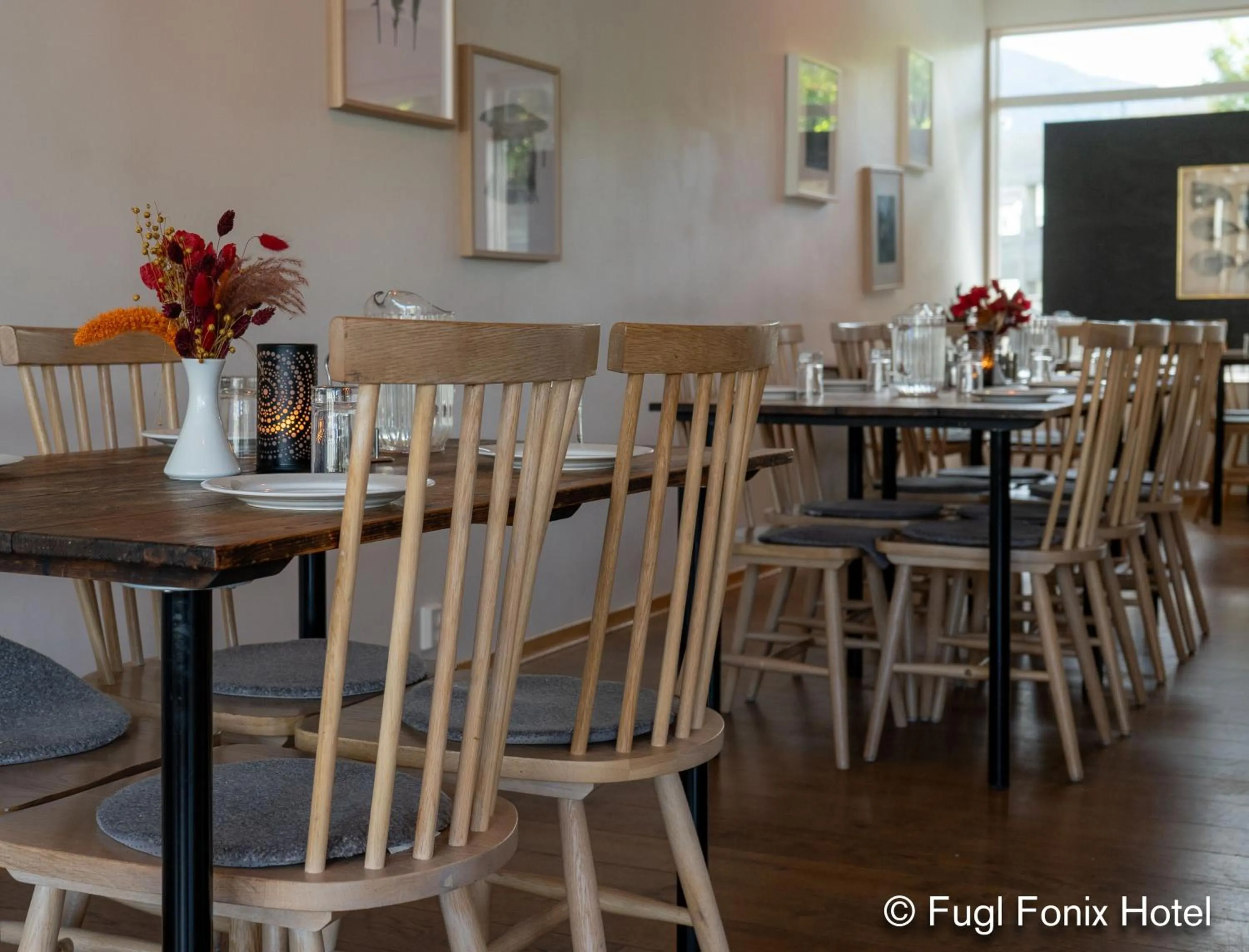 Restaurant/places to eat in Fugl Fønix Hotel
