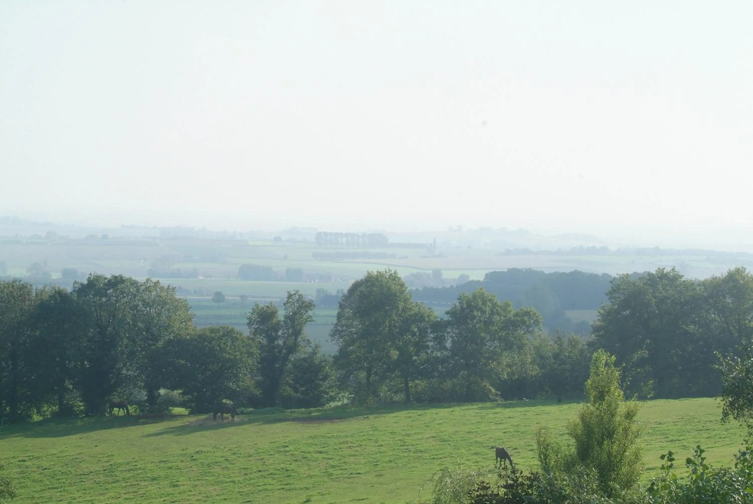 View (from property/room) in Hotel Belvedere