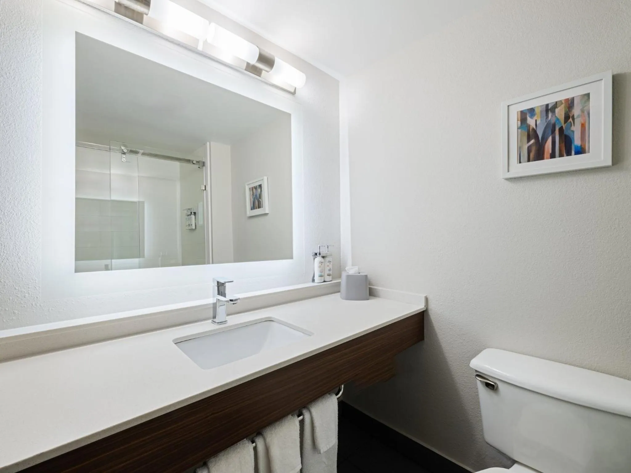 Bathroom in Holiday Inn Express & Suites Augusta West - Ft Gordon Area by IHG