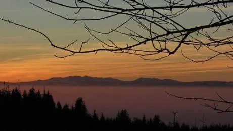 Mountain view in B&B Les Paddocks