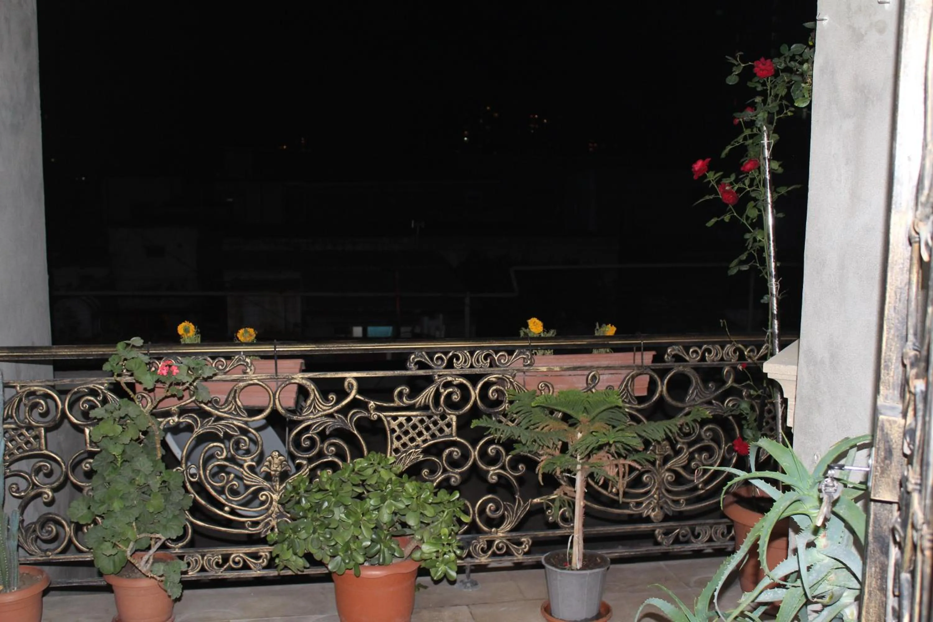 Balcony/Terrace in Baku Butik Mini-Hotel
