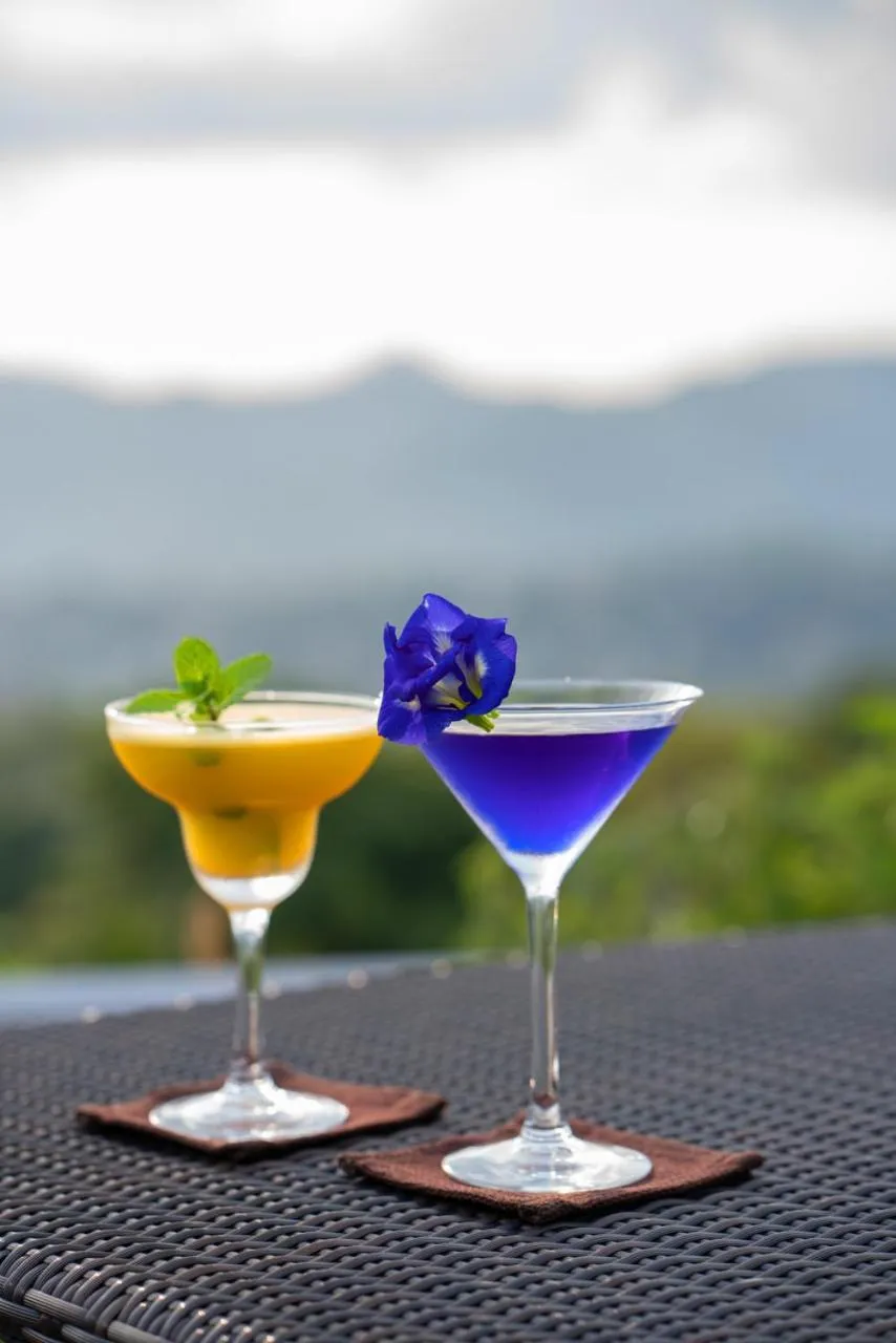 Day in The Theva Residency