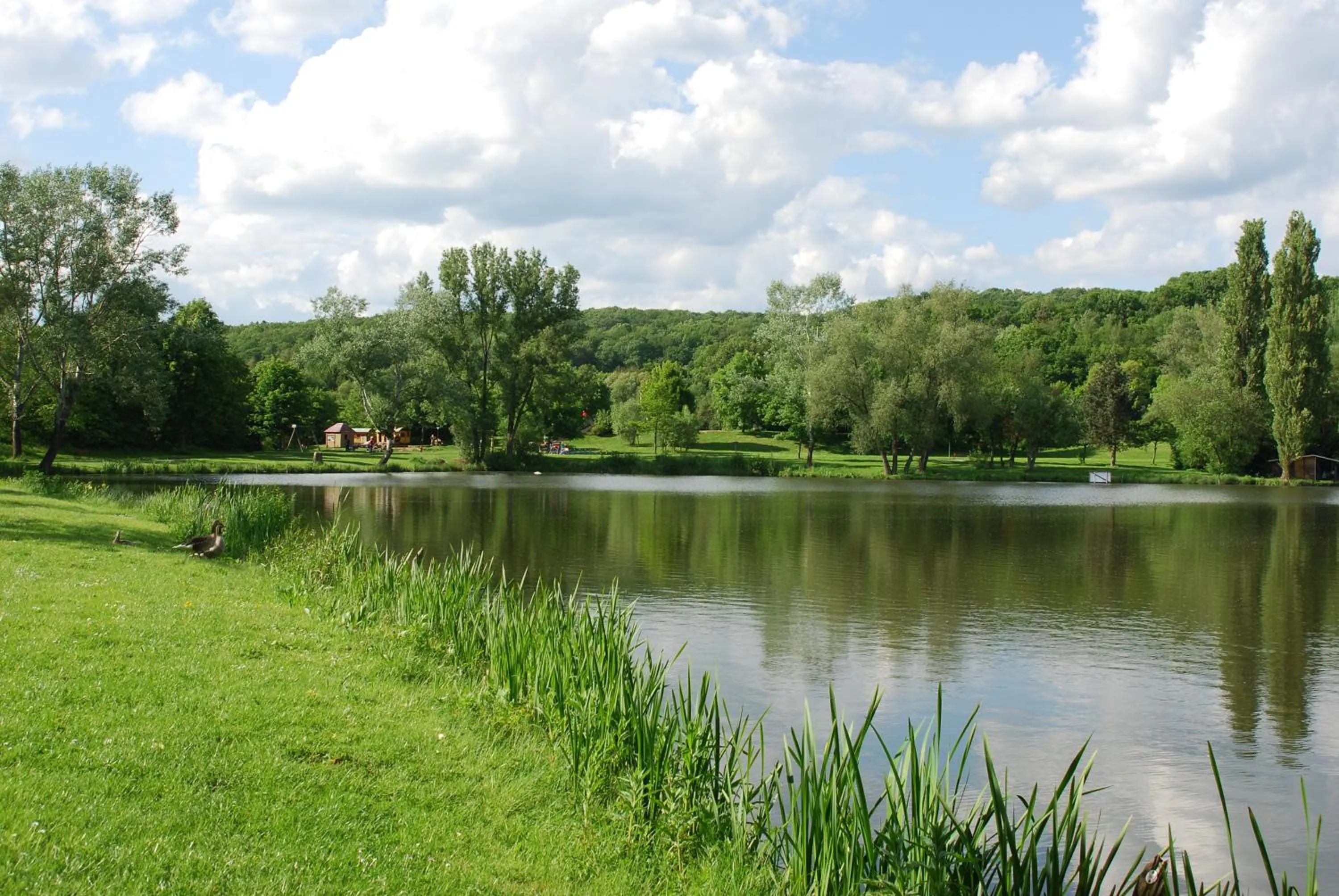 Area and facilities in Hotel am Steinertsee - Kassel-Ost