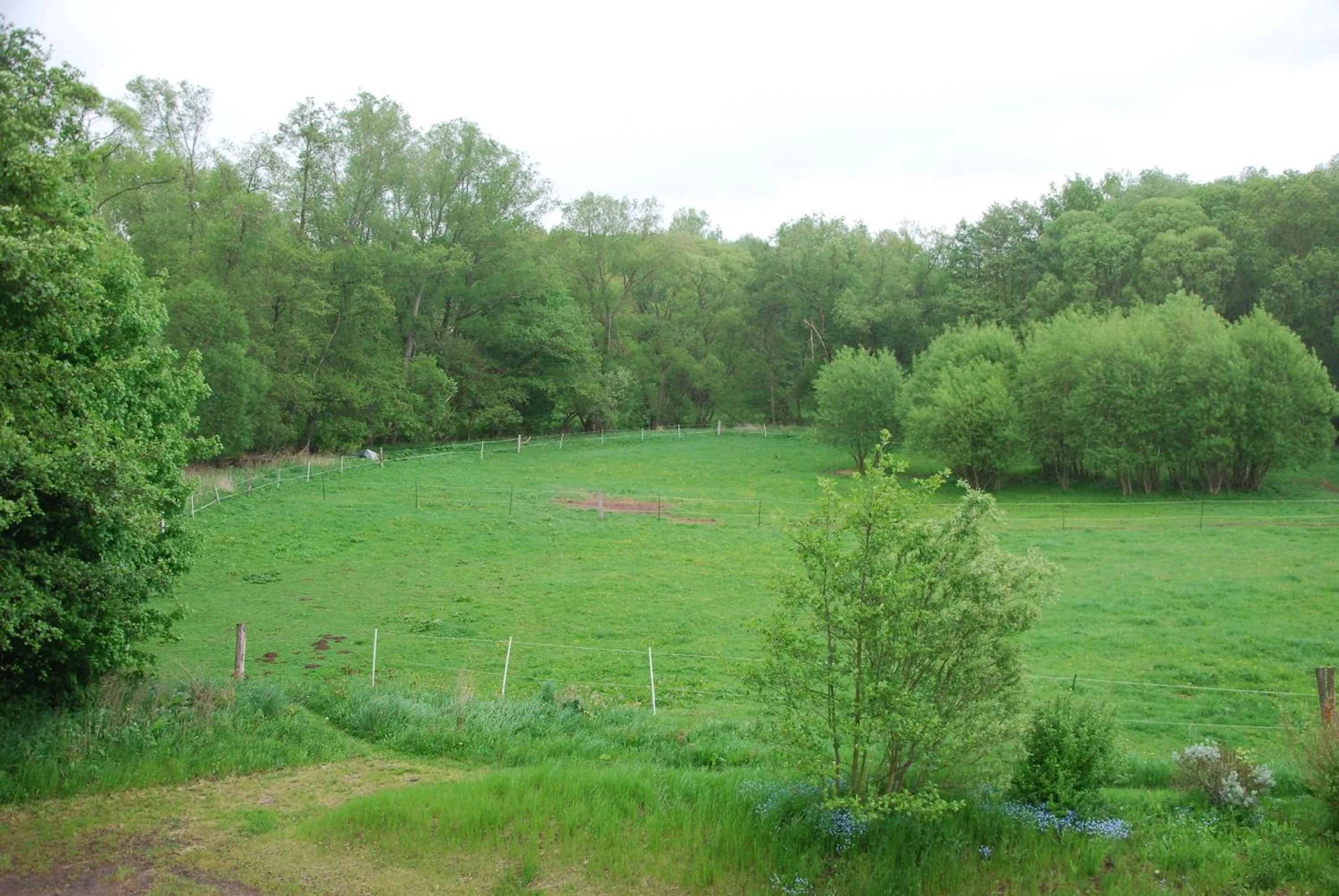 Area and facilities in Hotel am Steinertsee - Kassel-Ost