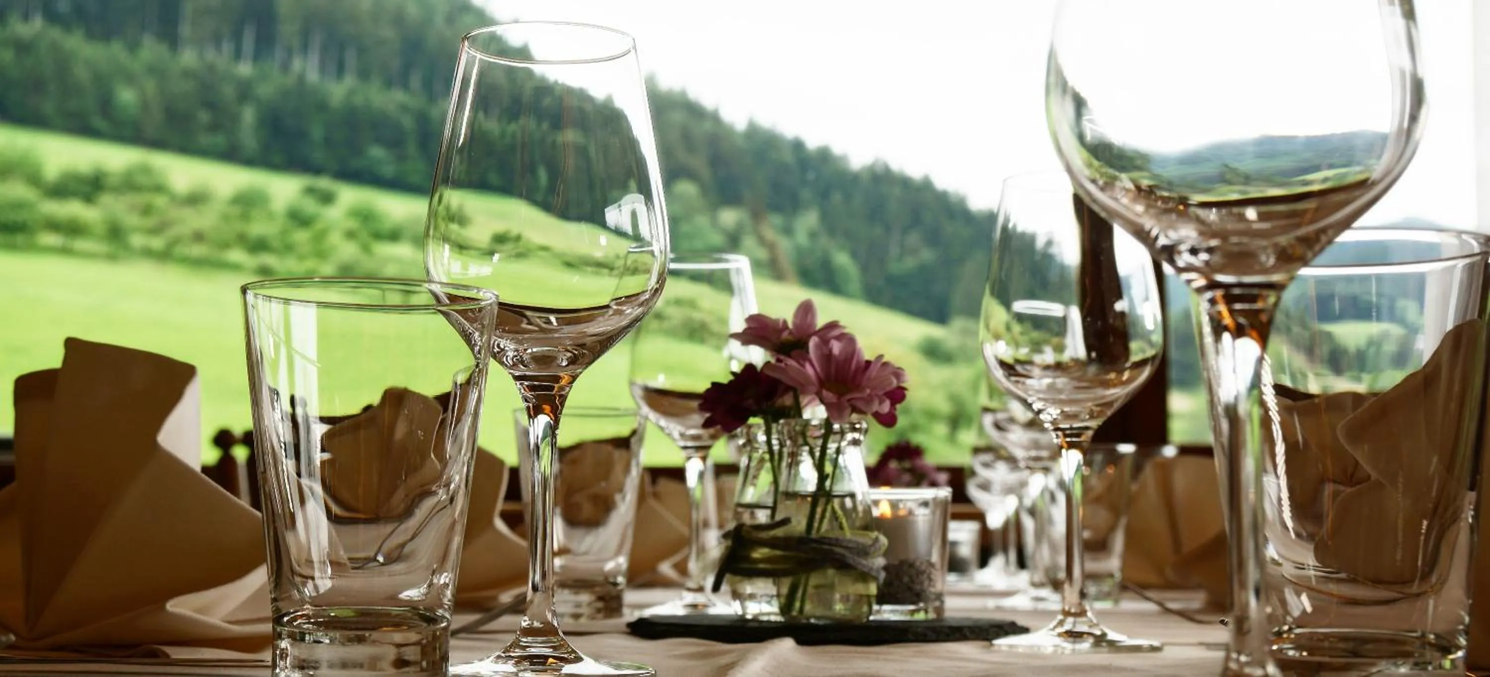 Natural landscape in Hotel Fuxxbau