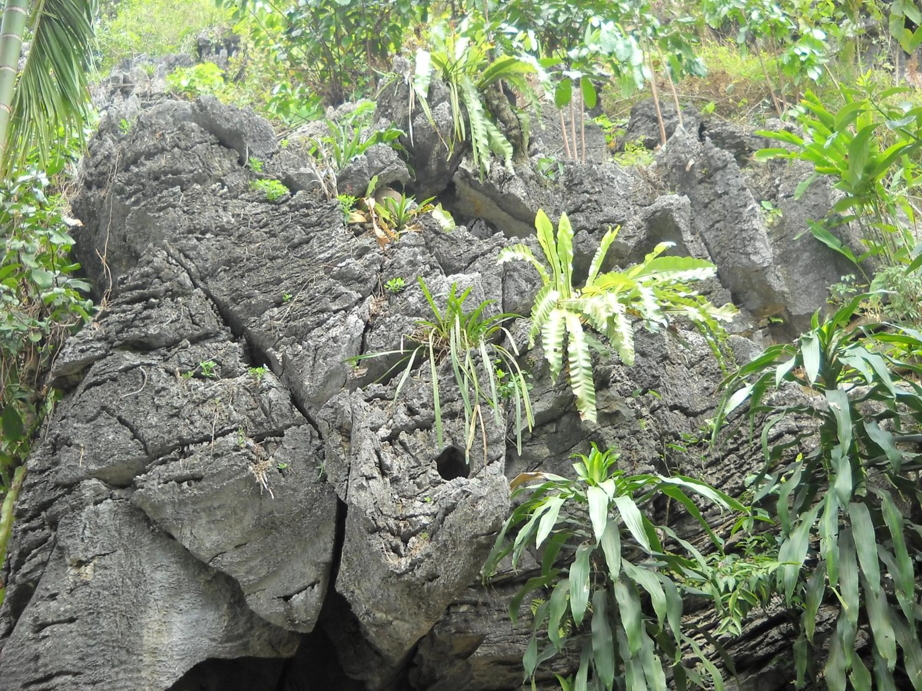 Natural landscape in Huong Thao 2 Hotel