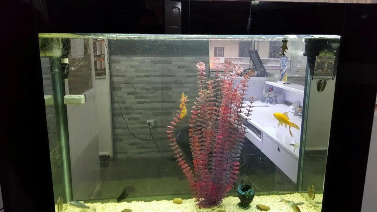 Decorative detail in Hotel la brise