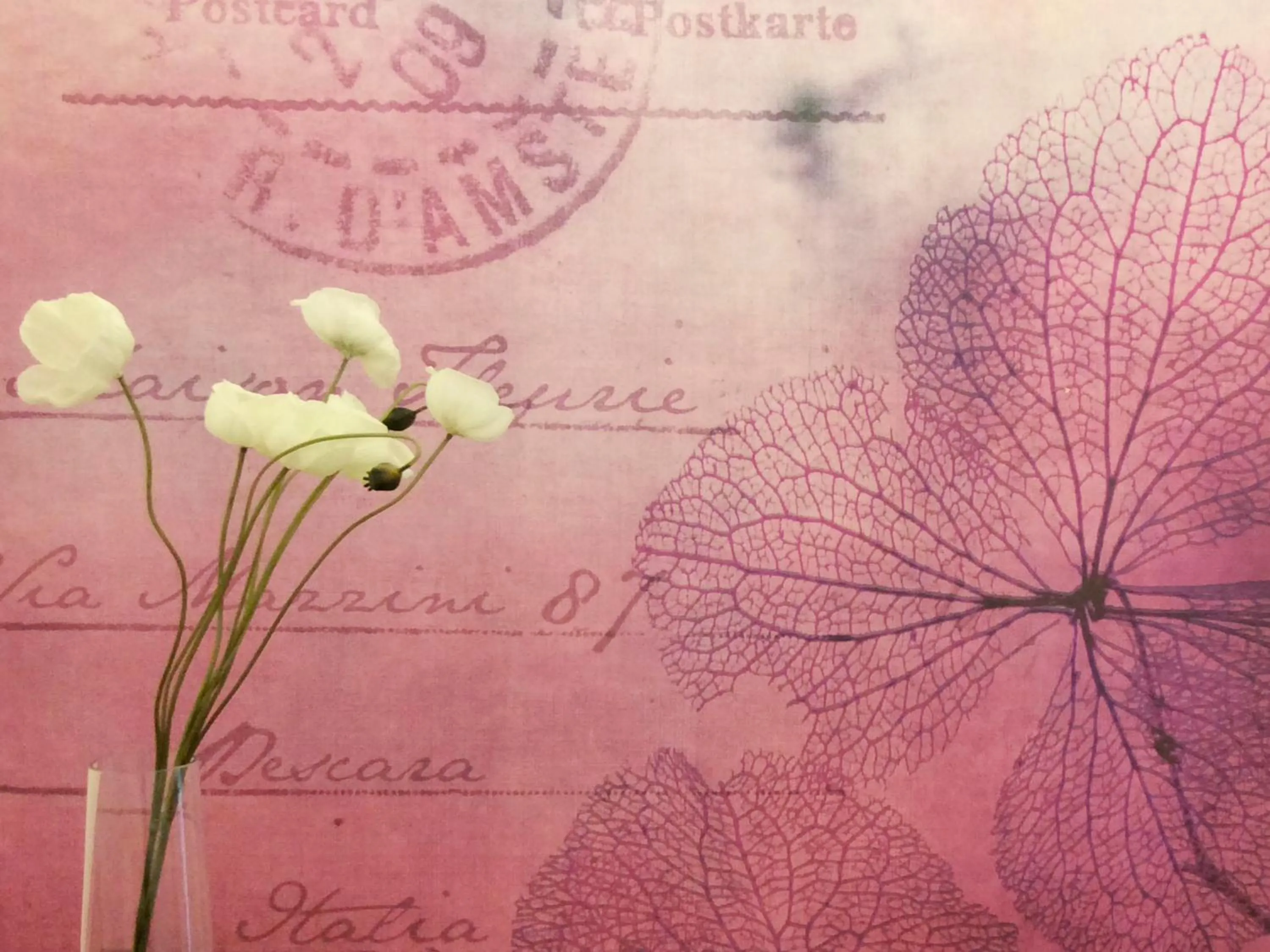 Lobby or reception in Maison Fleurie
